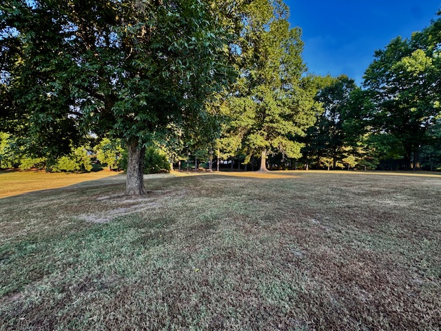 Paragould, Arkansas, 72450, United States, 5 Bedrooms Bedrooms, ,3 BathroomsBathrooms,Residential,For Sale,1955284