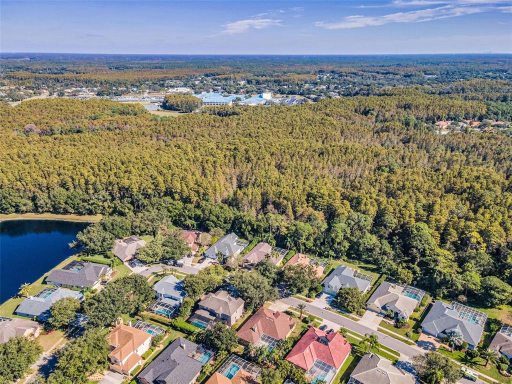 Palm Harbor, Florida, 34685, United States, 4 Bedrooms Bedrooms, ,3 BathroomsBathrooms,Residential,For Sale,1987675