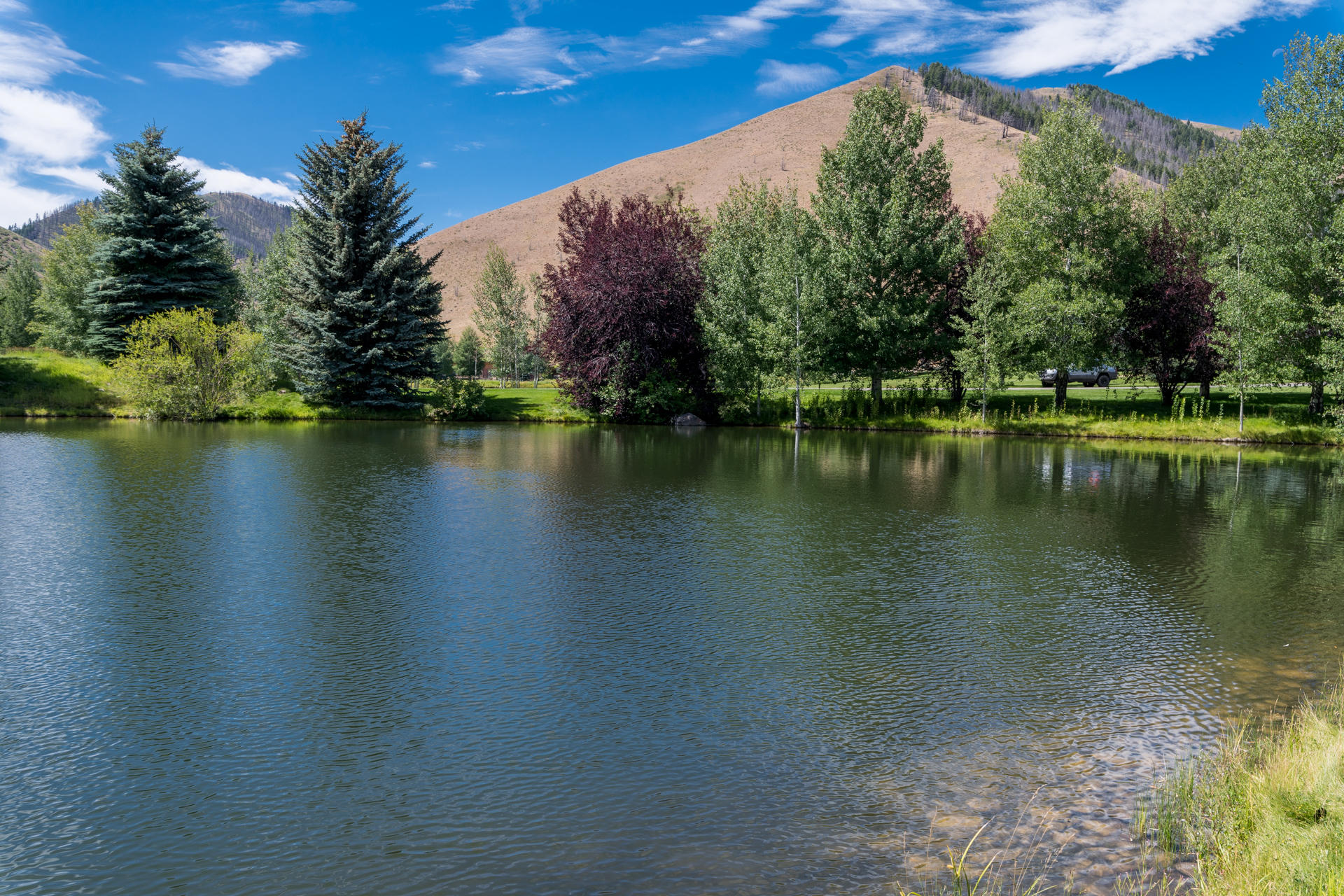 Blaine County, Idaho, 83333, United States, ,Land,For Sale,1794609