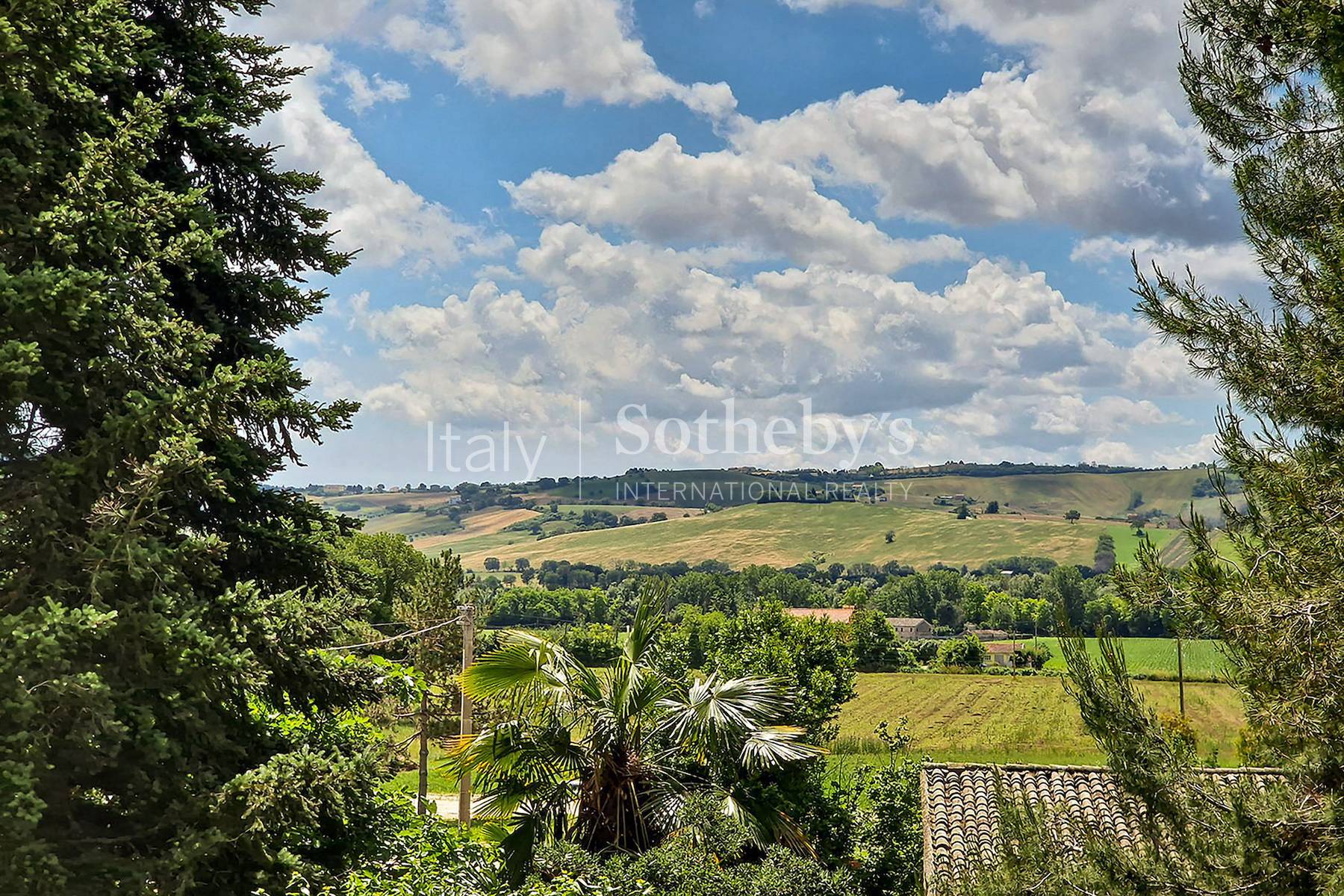  Magnificent 19th Century villa in the Marche countryside - 物件實景