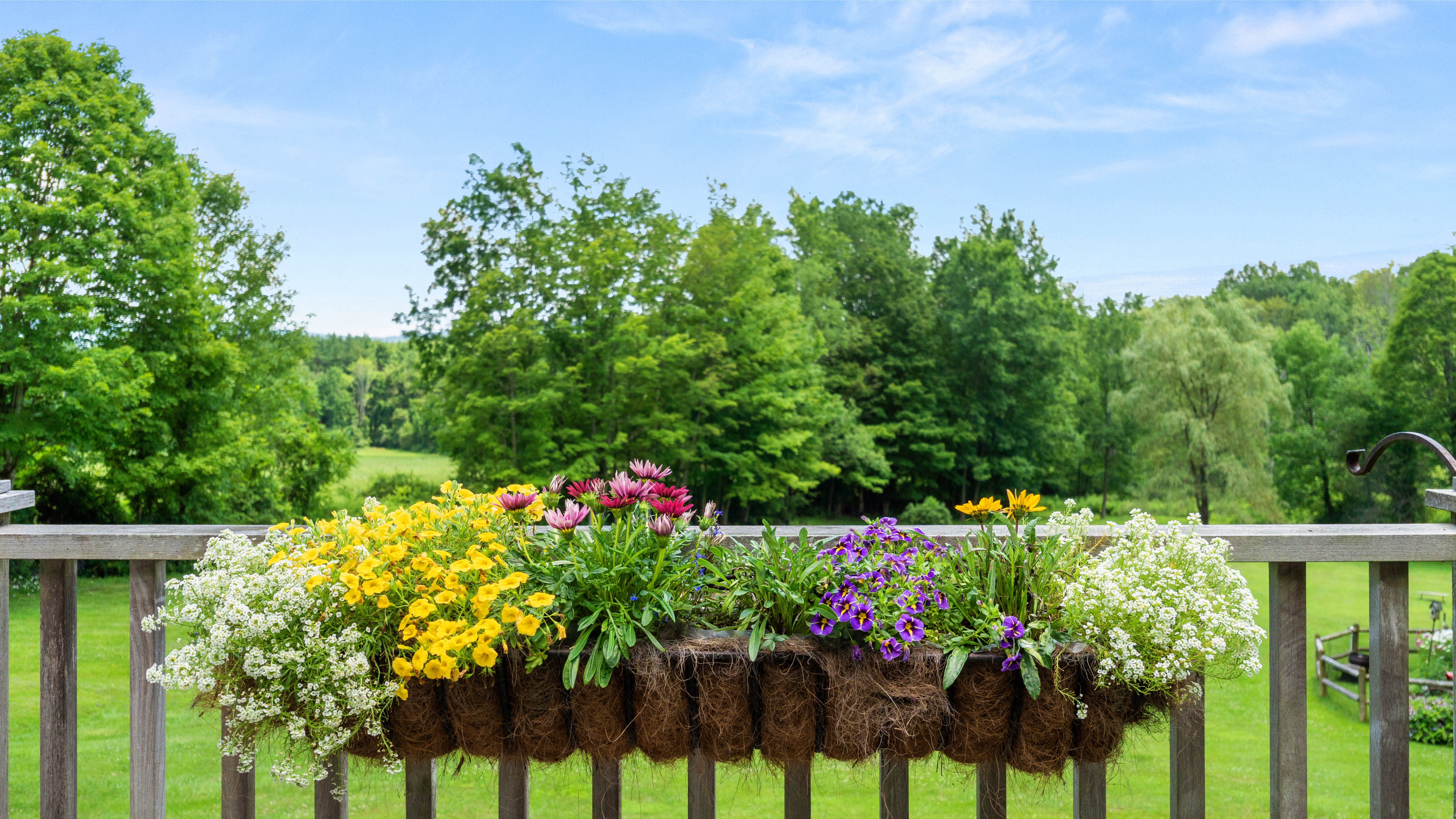  Charming and Spacious Country Retreat Just 15 Minutes from Tanglewood - 物件實景