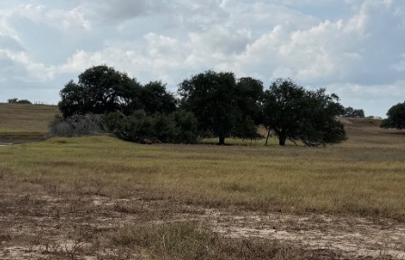 Runge, Texas, 78151, United States, 3 Bedrooms Bedrooms, ,2 BathroomsBathrooms,Residential,For Sale,1996621