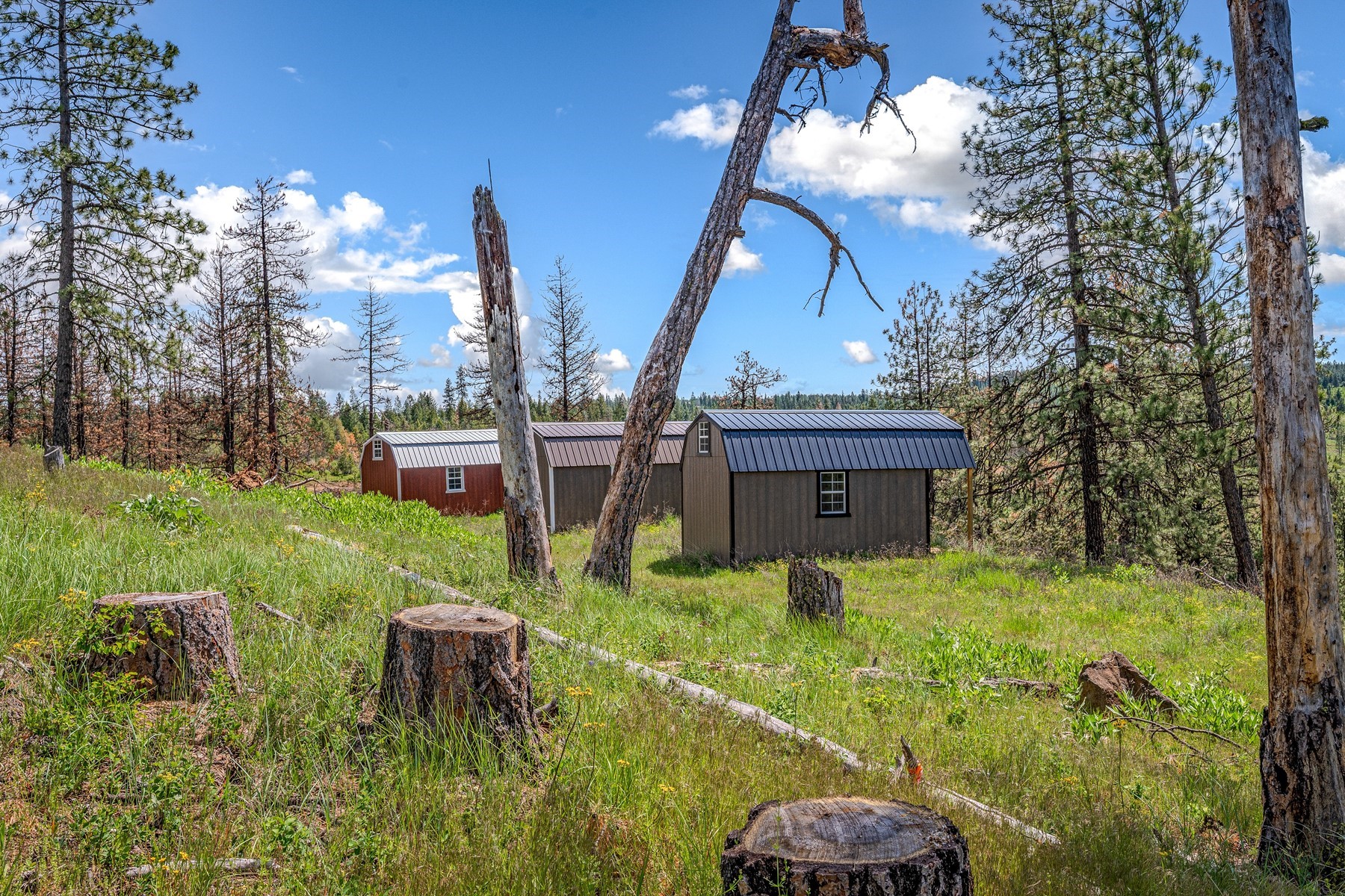 Cabins on 17ac. Surrounded by Lumber Land - 物件實景