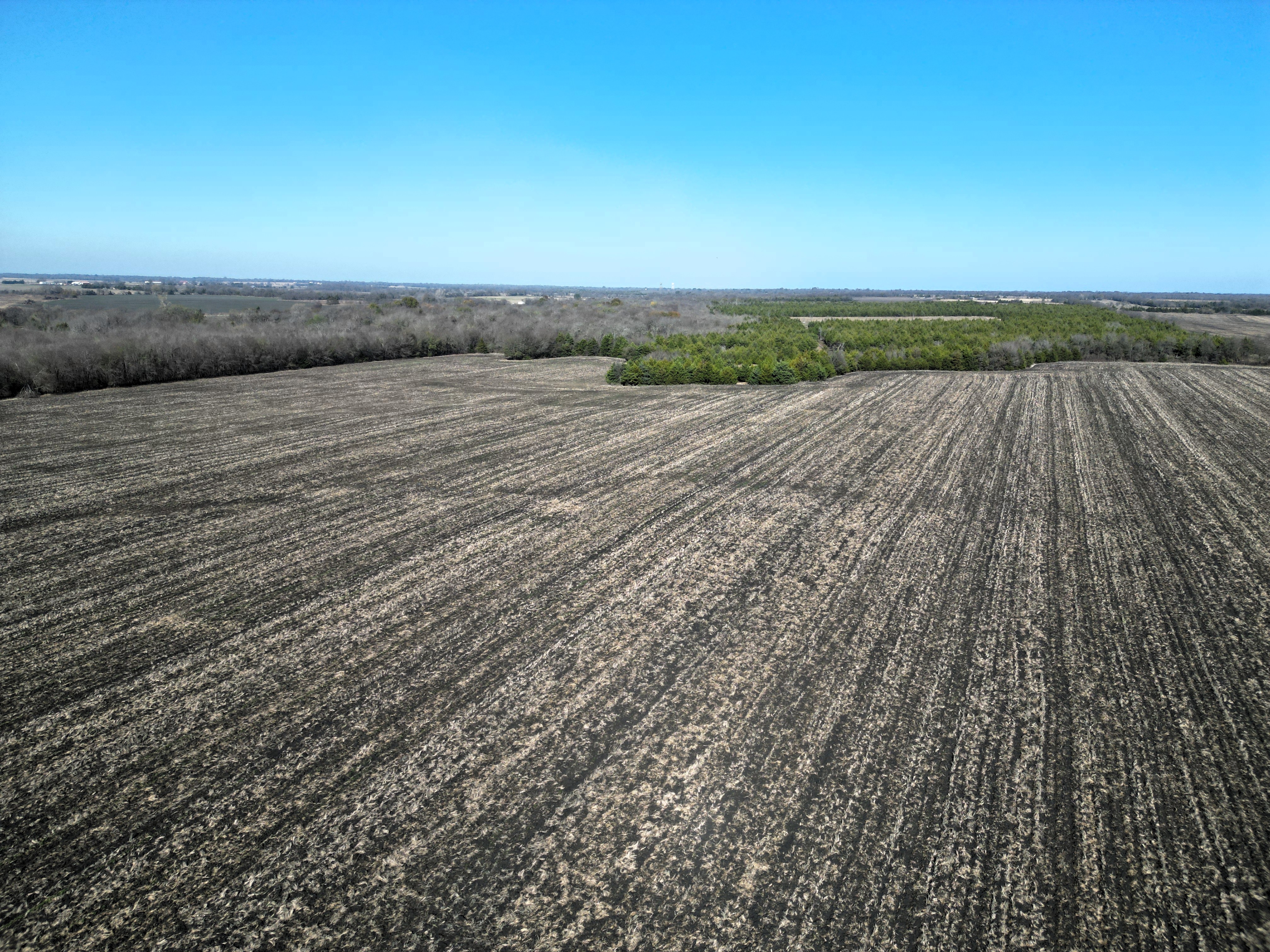 Commerce, Texas, 75428, United States, ,Land,For Sale,2001483