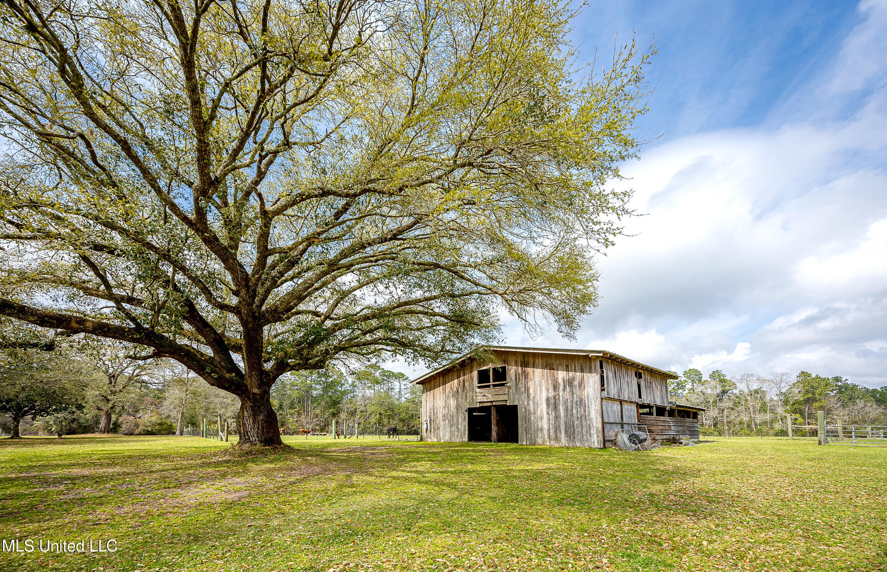 Vancleave, Mississippi, 39565, United States, 4 Bedrooms Bedrooms, ,2 BathroomsBathrooms,Residential,For Sale,1927401