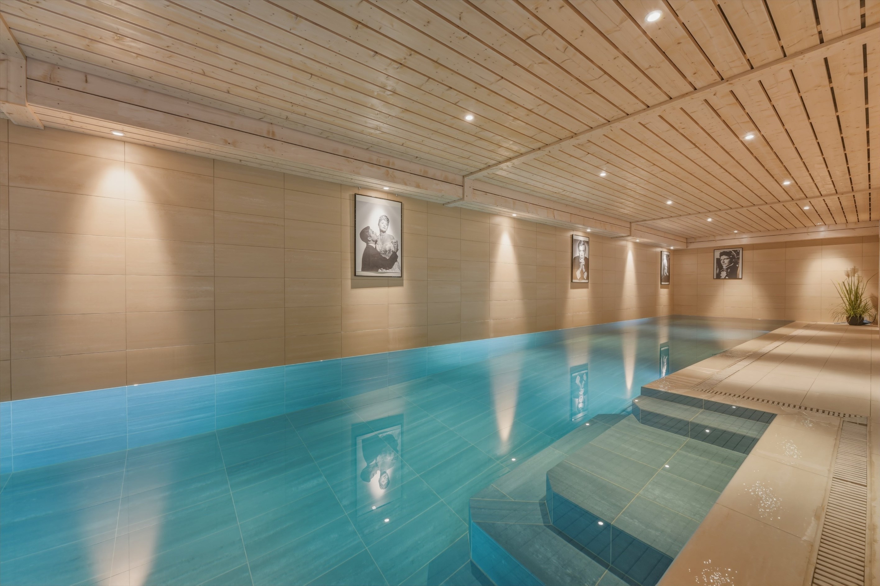  AXE&D Architect-Designed Villa with Indoor Swimming Pool and Mont Blanc Views - 物件實景