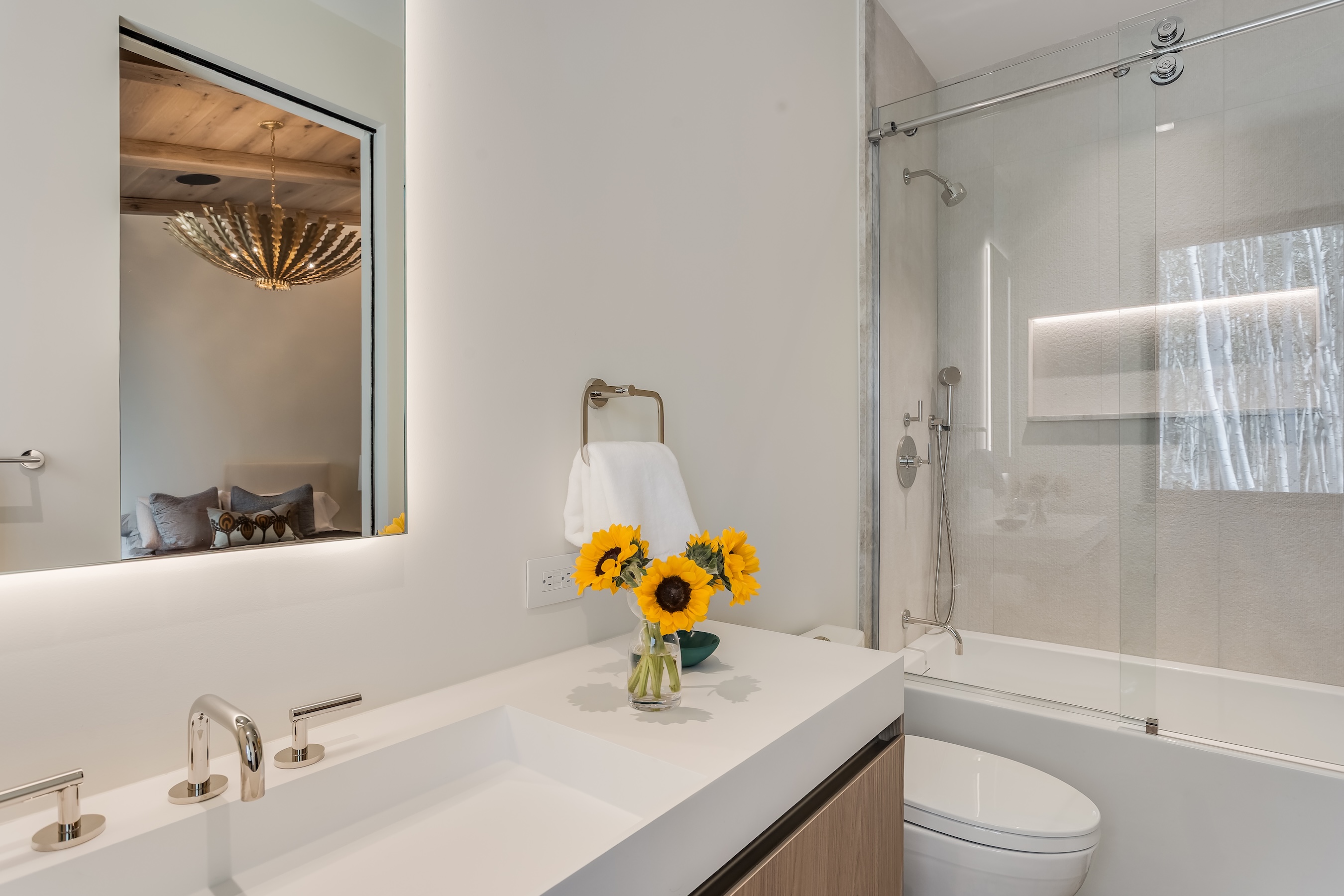  231 Maple Ridge Lane, Snowmass Village, CO 81615 - 物件實景