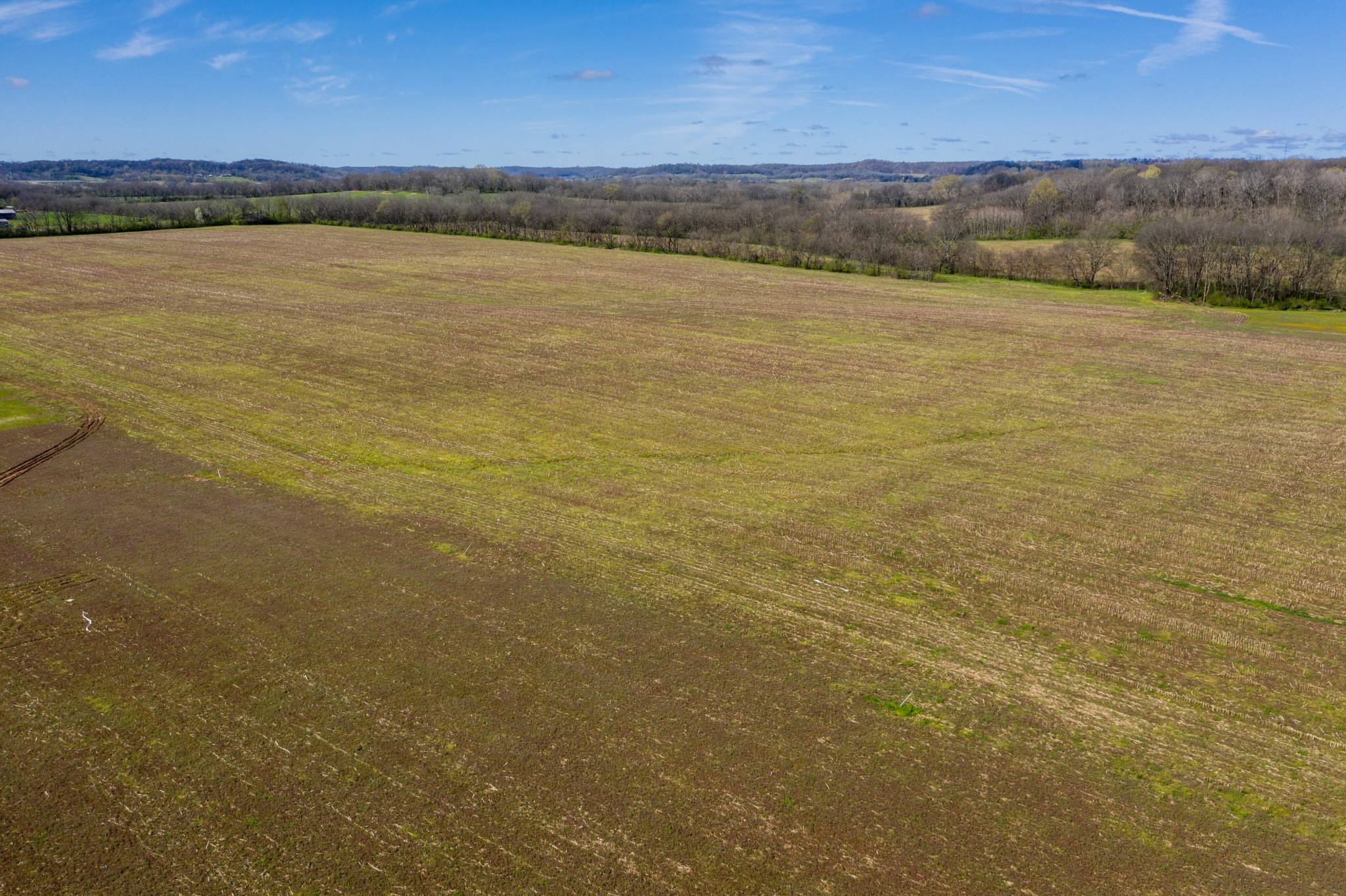  0 South Cross Bridges Road, Mount Pleasant, TN, 38474 - 物件實景