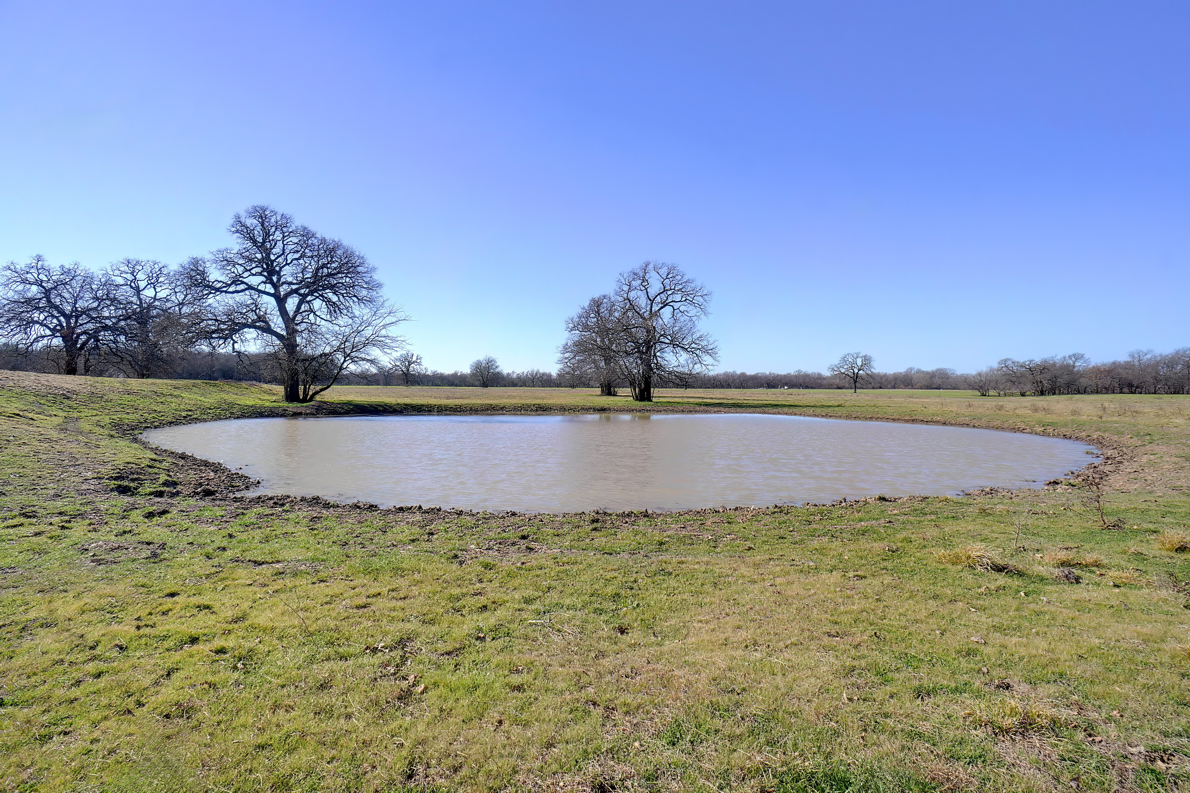 Bridgeport, Texas, 76426, United States, 4 Bedrooms Bedrooms, ,3 BathroomsBathrooms,Residential,For Sale,1701236