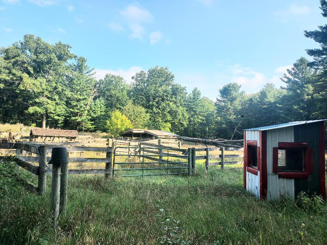 Big Rapids, Michigan, 49307, United States, 3 Bedrooms Bedrooms, ,2 BathroomsBathrooms,Residential,For Sale,1951282