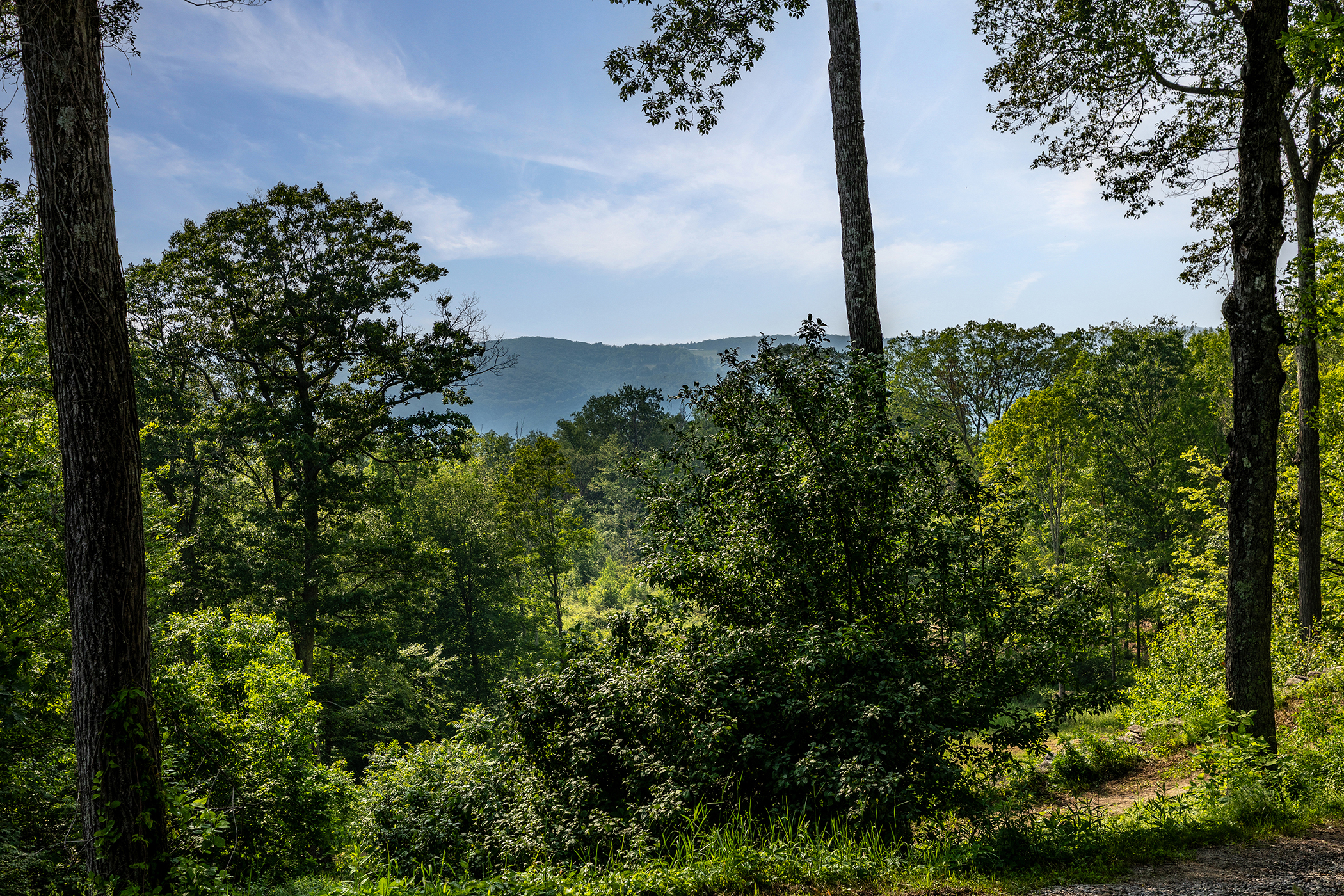  178 Carter Road - 物件實景