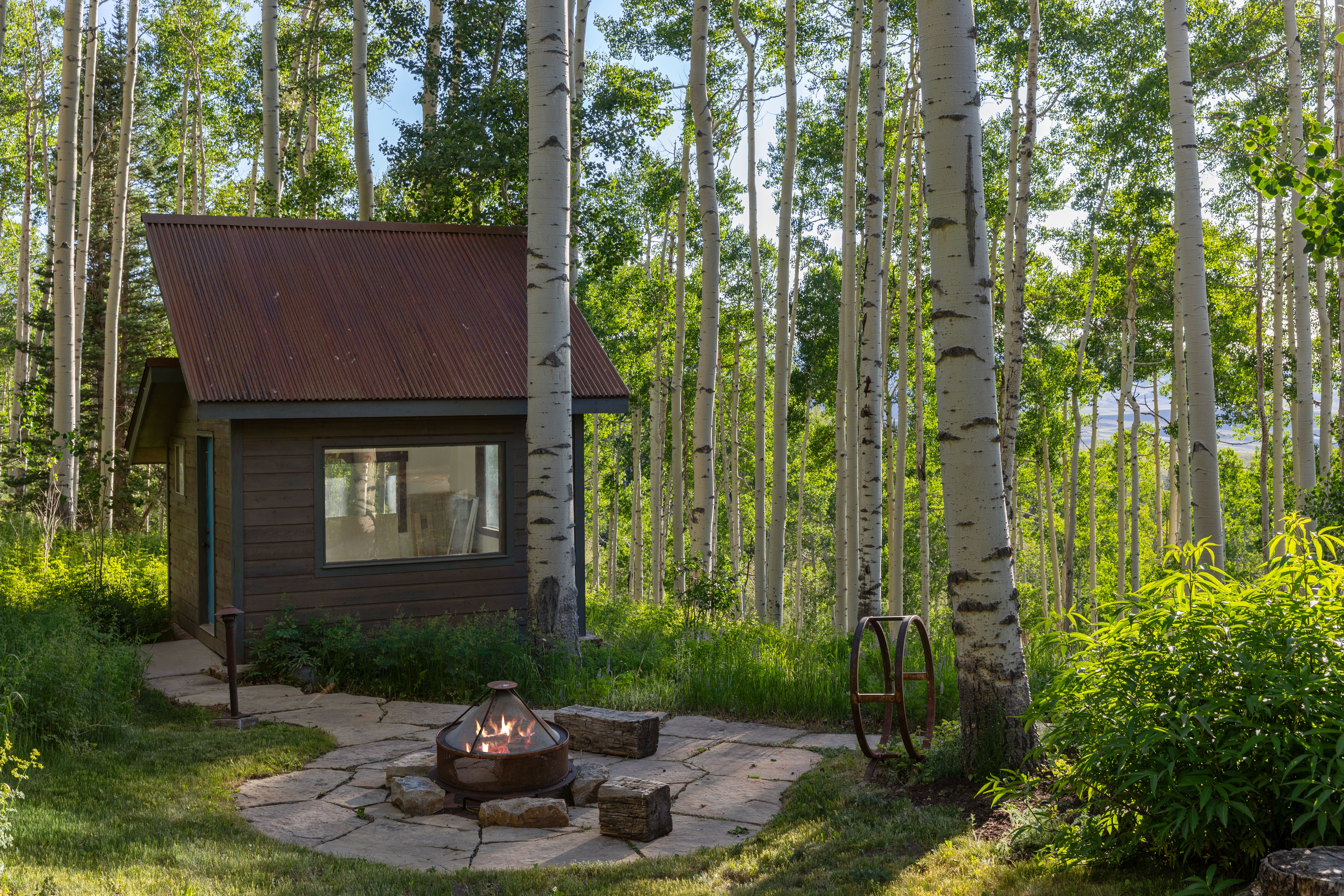  Mountain Escape Minutes from Telluride Ski Resort - 物件實景