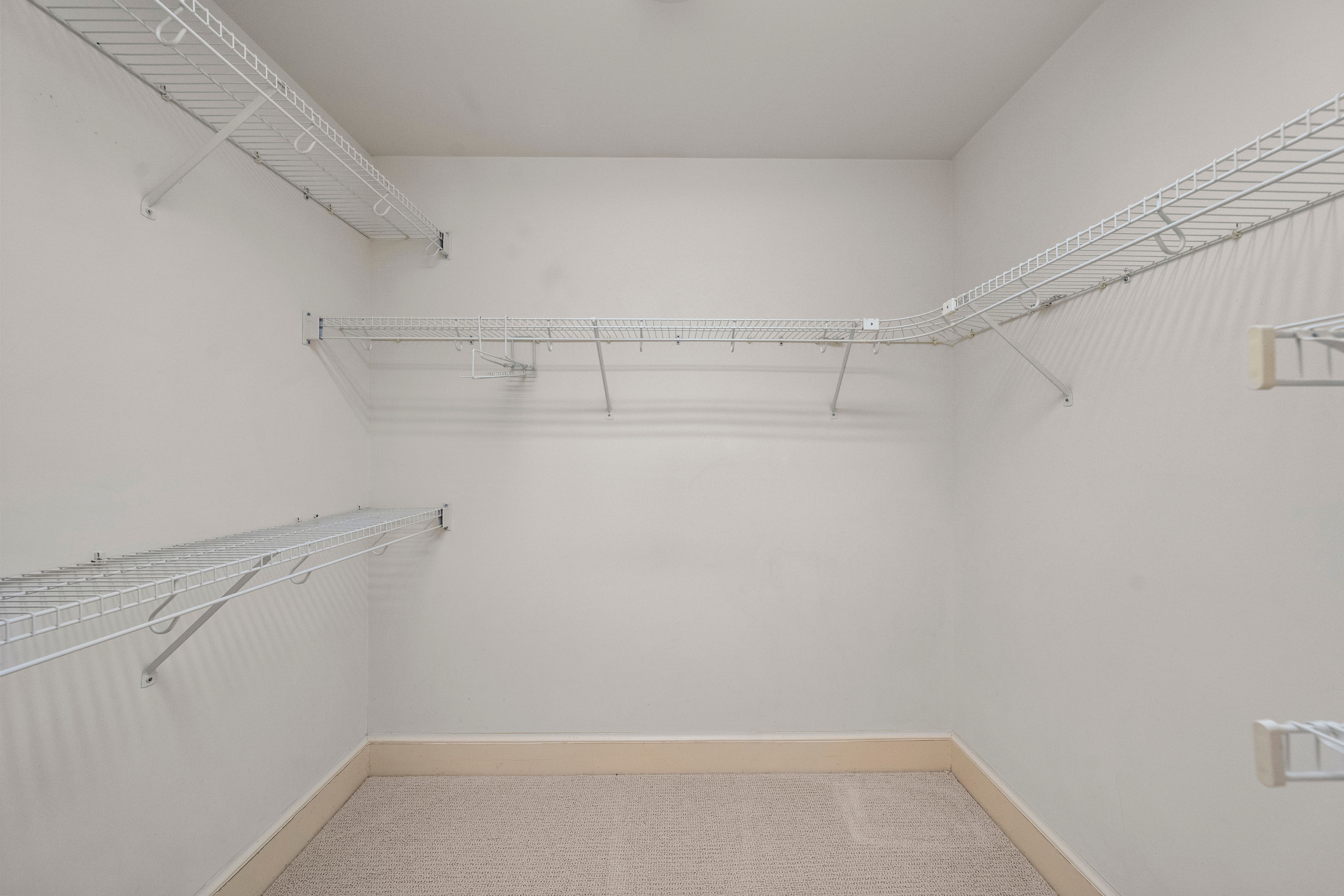  11504 Longview Landing Drive, Henrico, VA 23233 - 物件實景