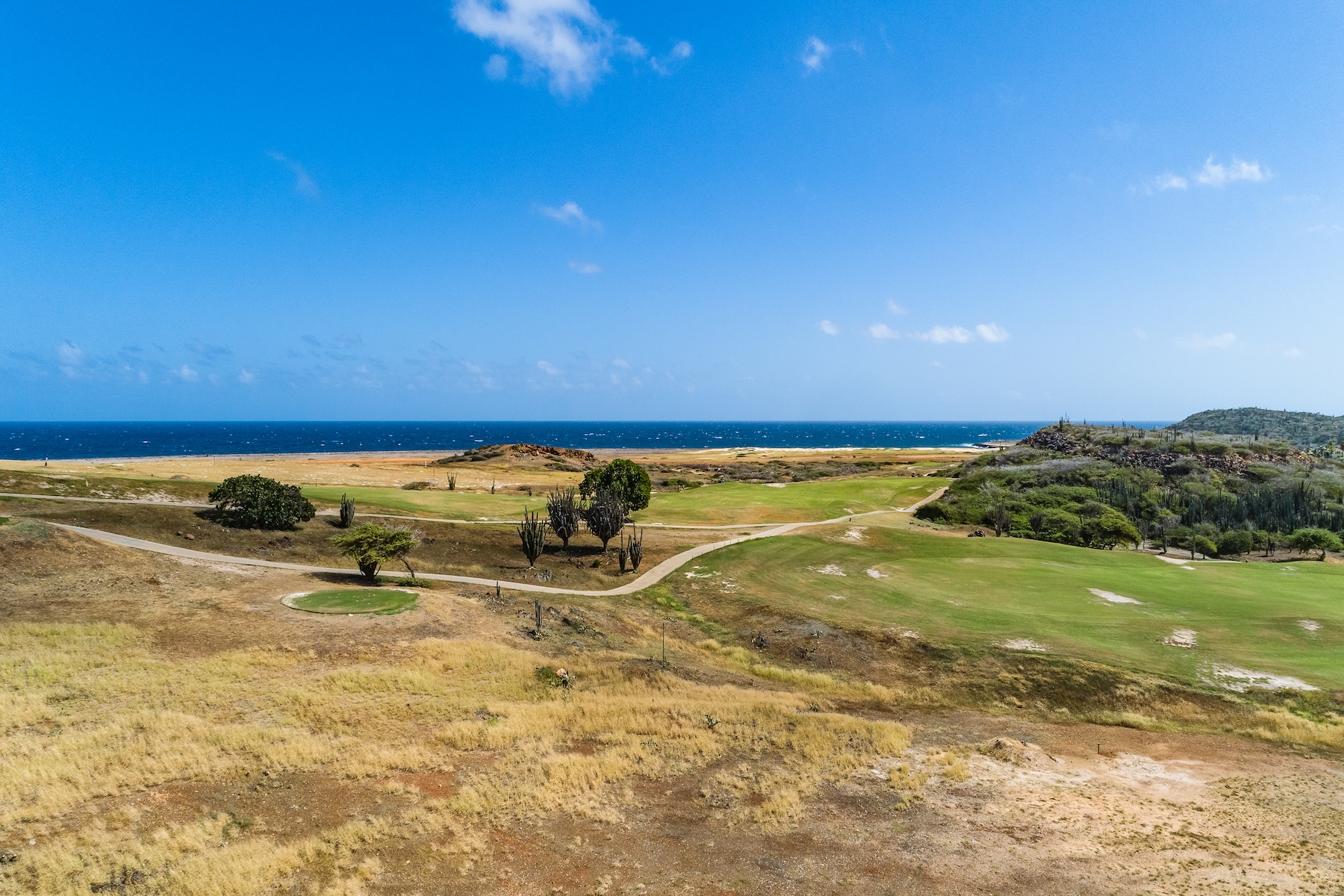  Coco Skyline Villa — Ocean, Golf & Rooftop Sunsets in Tierra del Sol - 物件實景