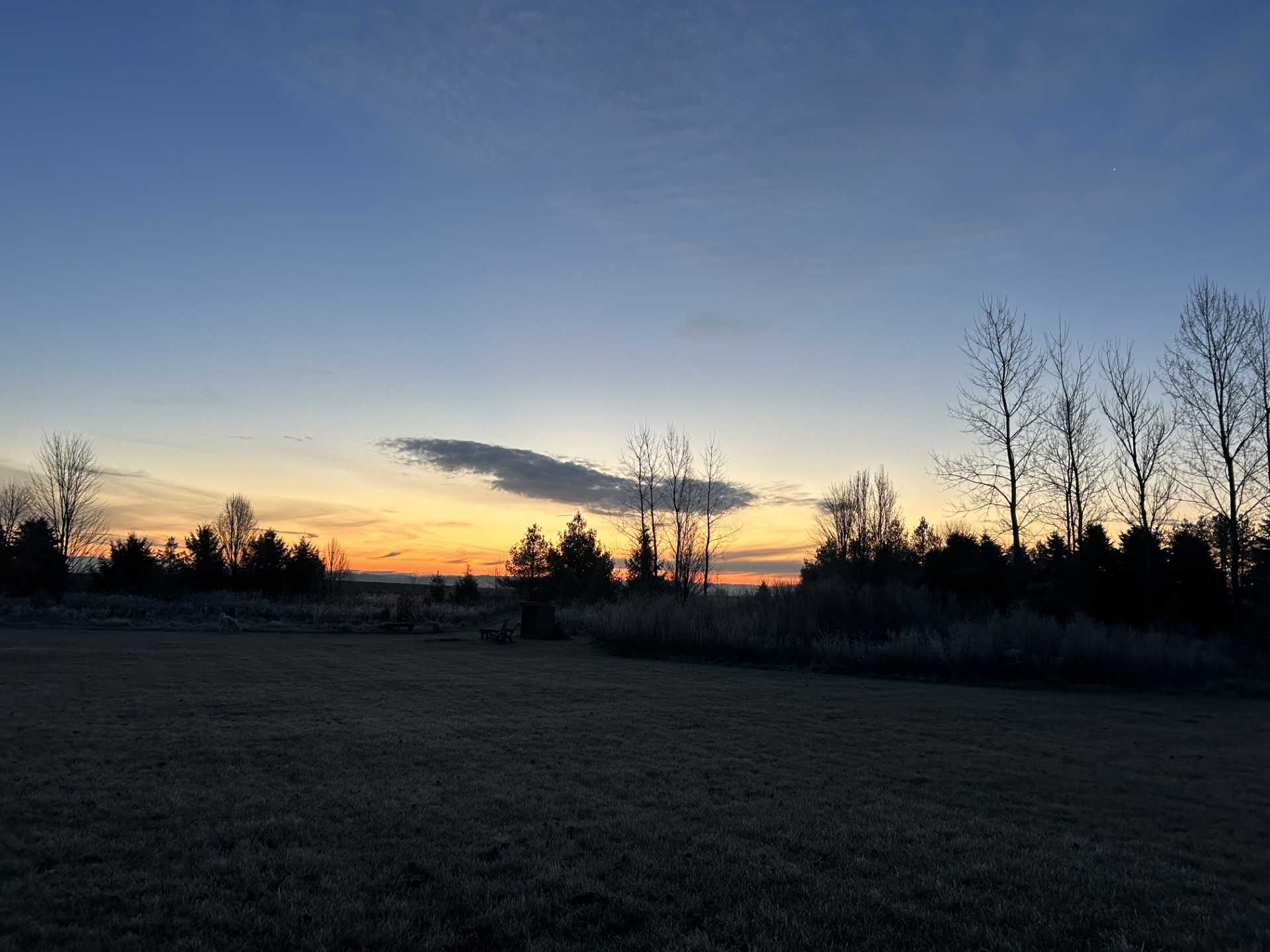  3-acres in union  grove - no hoa - 物件實景