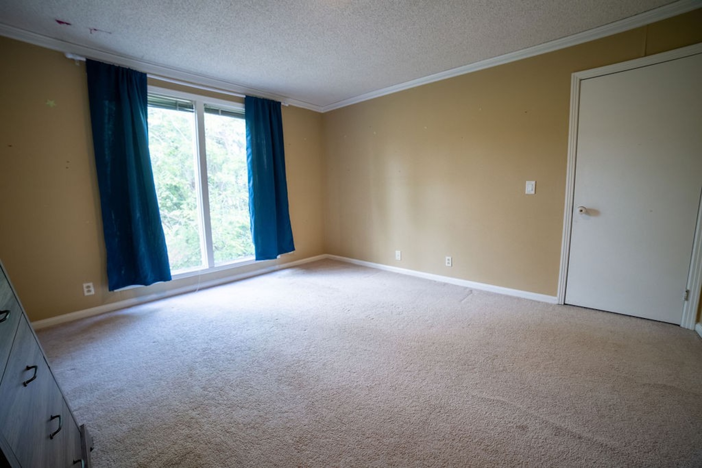  1305 Hill Lakes Ln, Lebanon, TN, 37090 - 物件實景