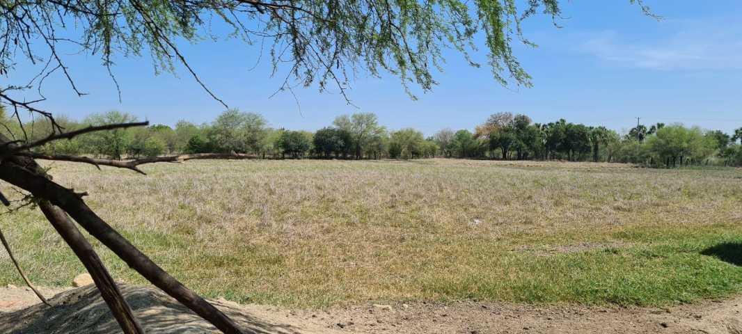 EJI SAN JUAN DE LOS GARZA, Cadereyta Jiménez, Nuevo León, 67459, Mexico, 1 Bedroom Bedrooms, ,Residential,For Sale,EJI SAN JUAN DE LOS GARZA,1440992