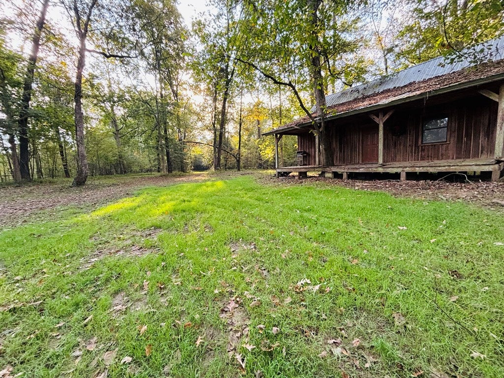 Abbeville, Georgia, 31001, United States, ,Land,For Sale,1975130