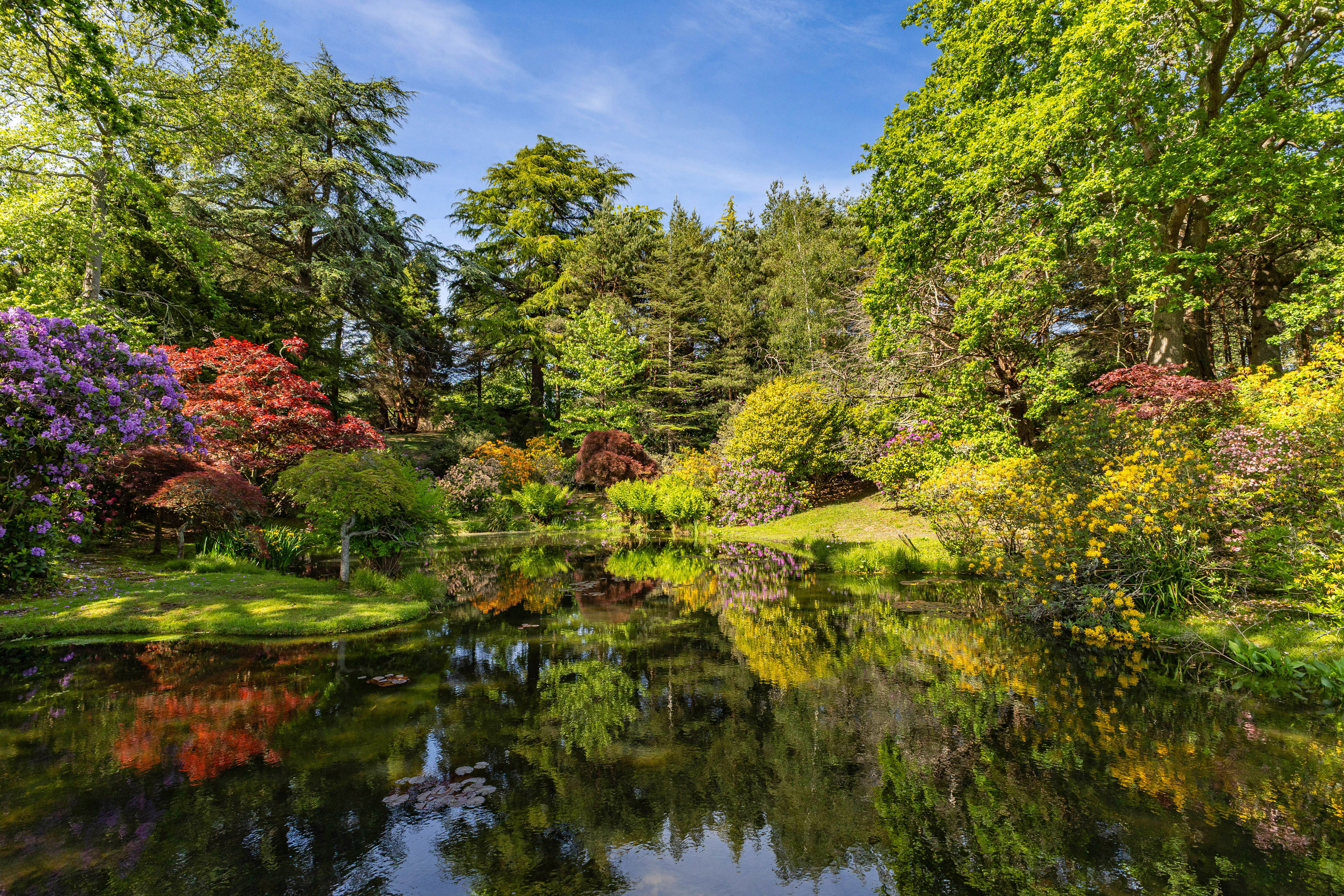  A remarkable manor house surrounded by a moat and 34 acres of private land - 物件實景