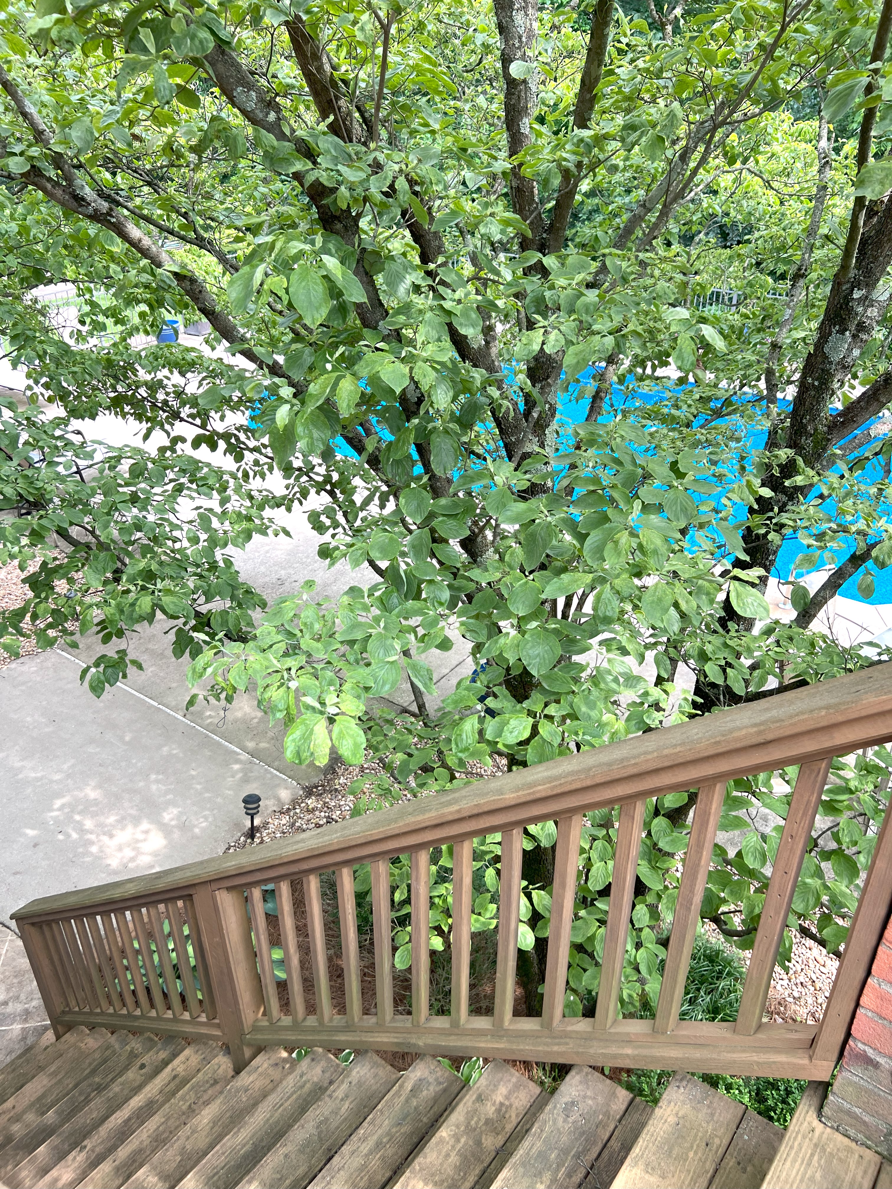 Frankfort, Kentucky, 40601, United States, 5 Bedrooms Bedrooms, ,4 BathroomsBathrooms,Residential,For Sale,1983551