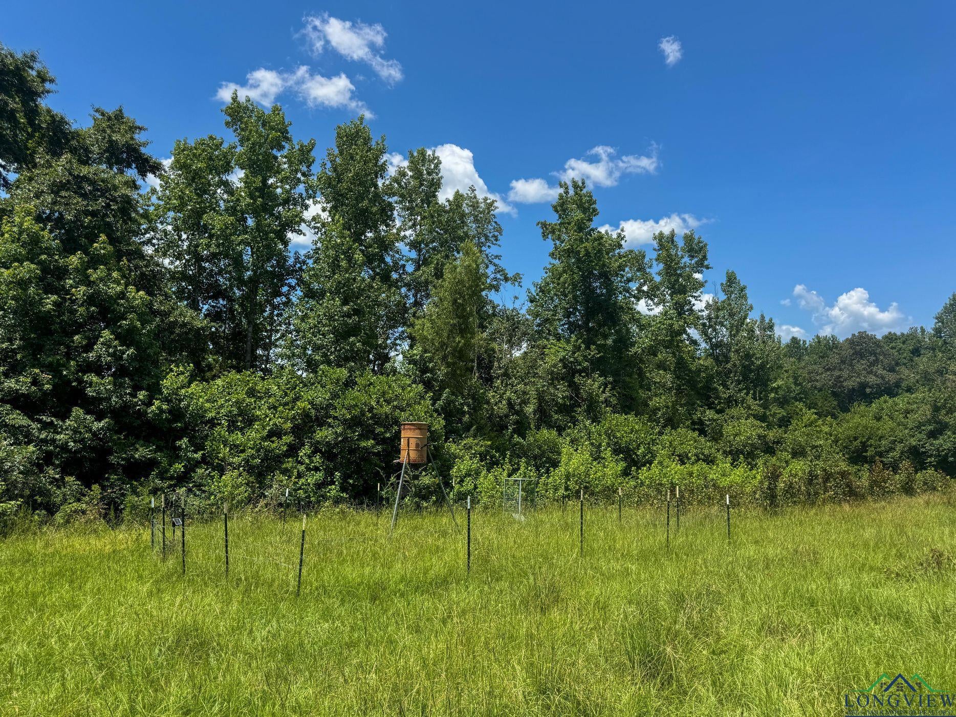 Linden, Texas, 75563, United States, 3 Bedrooms Bedrooms, ,3 BathroomsBathrooms,Residential,For Sale,1974630