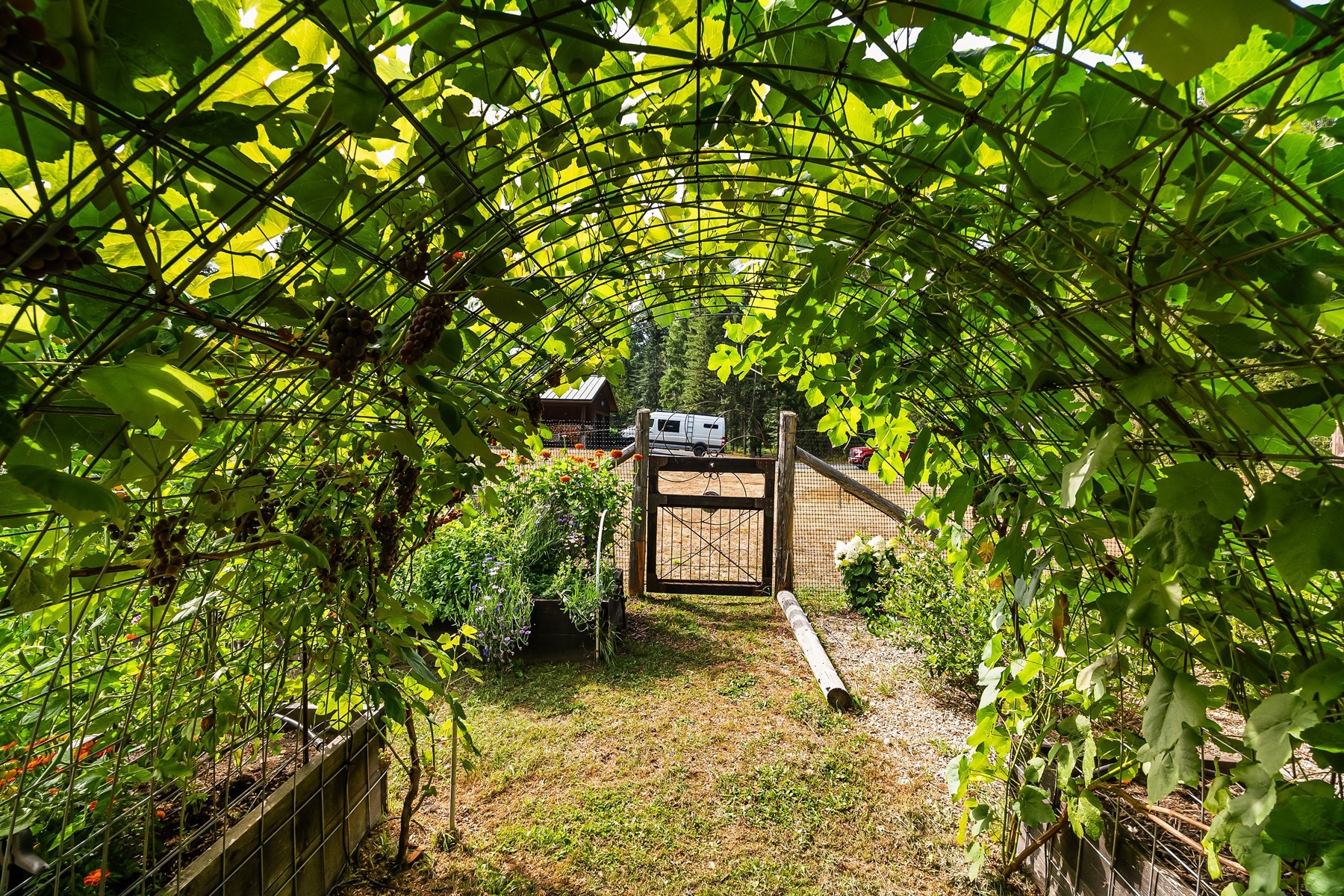  Riverfront Estate Ranch Property - 物件實景