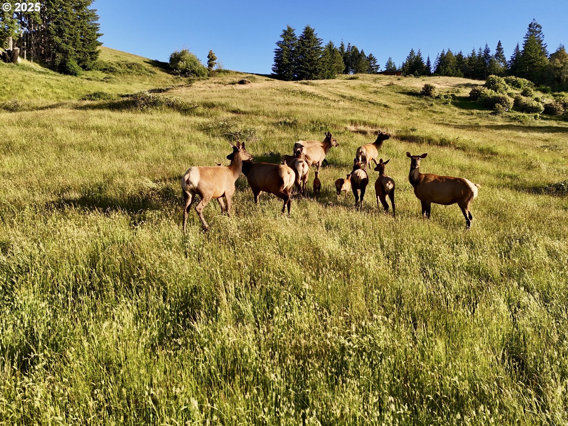 Gold Beach, Oregon, 97444, United States, 2 Bedrooms Bedrooms, ,3 BathroomsBathrooms,Residential,For Sale,1975339