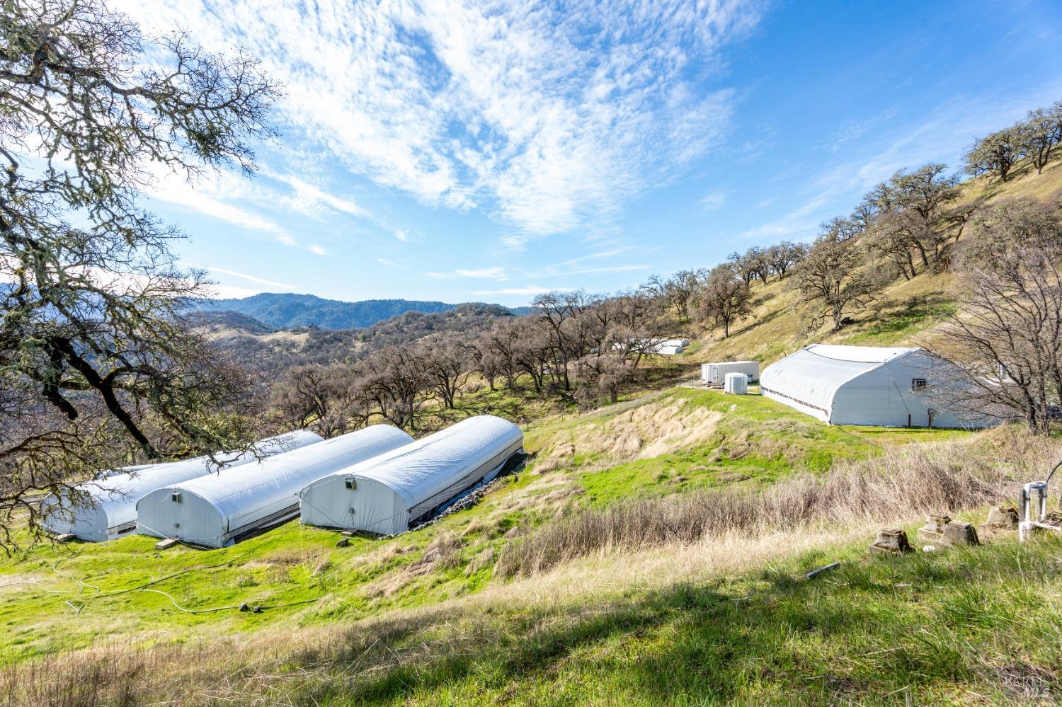 Ukiah, California, 95482, United States, 2 Bedrooms Bedrooms, ,1 BathroomBathrooms,Residential,For Sale,2005394