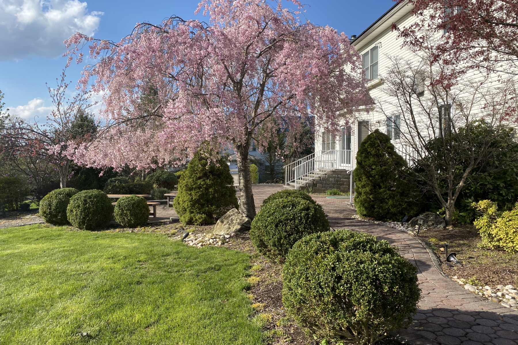  Spacious and Inviting Layout - 物件實景