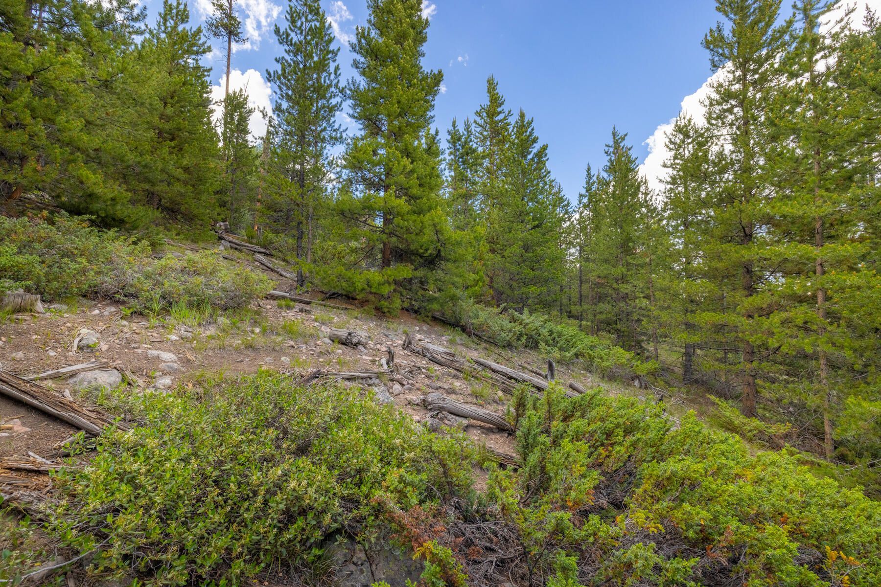  517 Giberson Lane, Frisco, CO, 80443 - 物件實景
