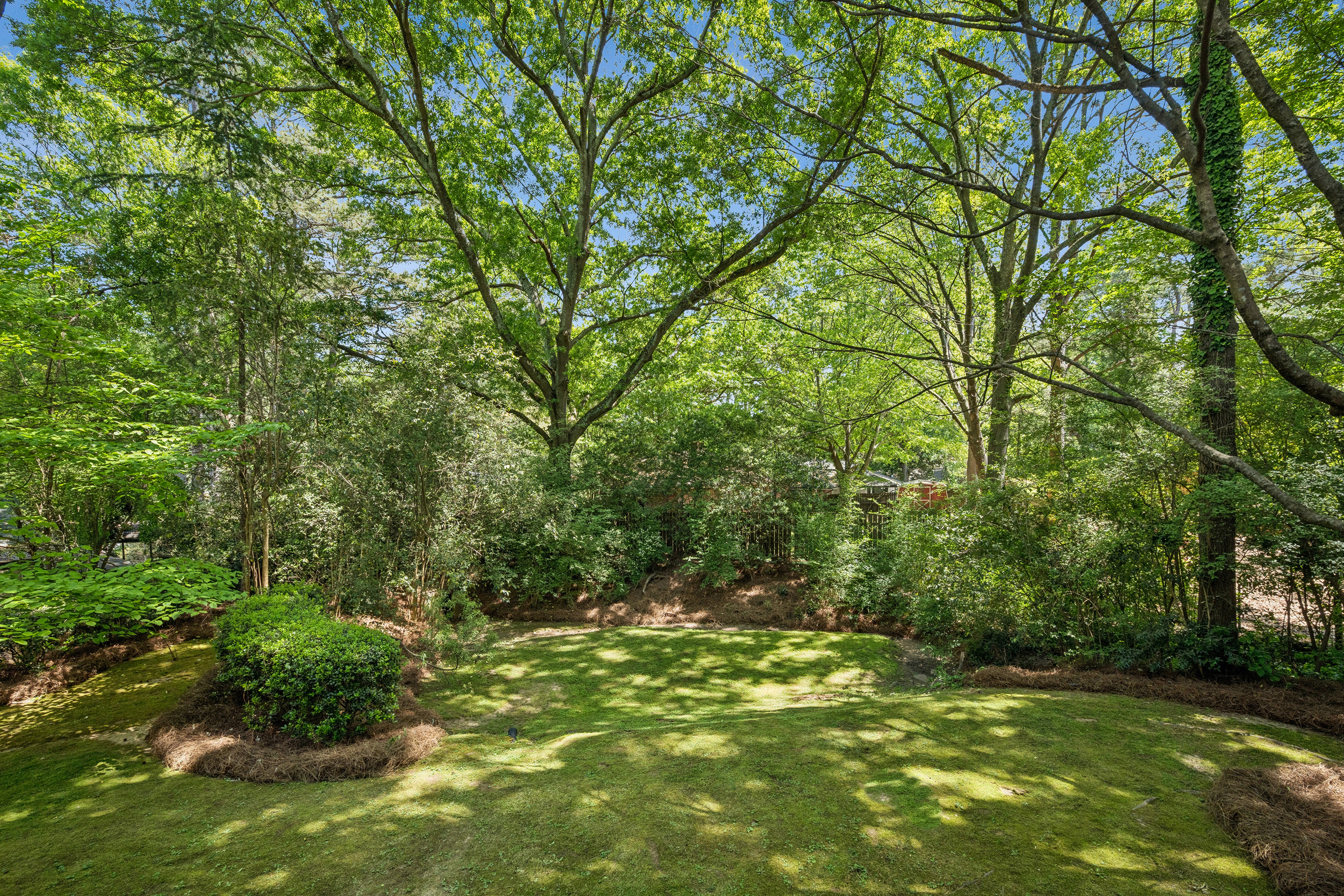  Fabulous Home in The Willows in Oakgrove - 物件實景