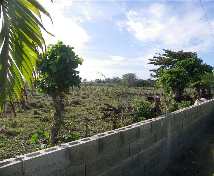 Cabarete, DO, ,Land,For Sale,1621301