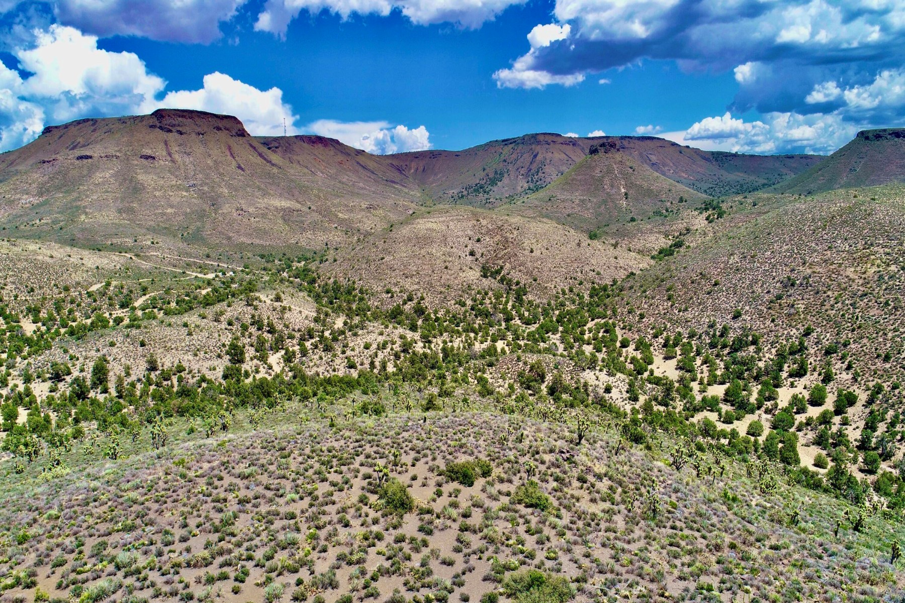  5838 E Diamond Bar Road ¦ Meadview, AZ - 物件實景