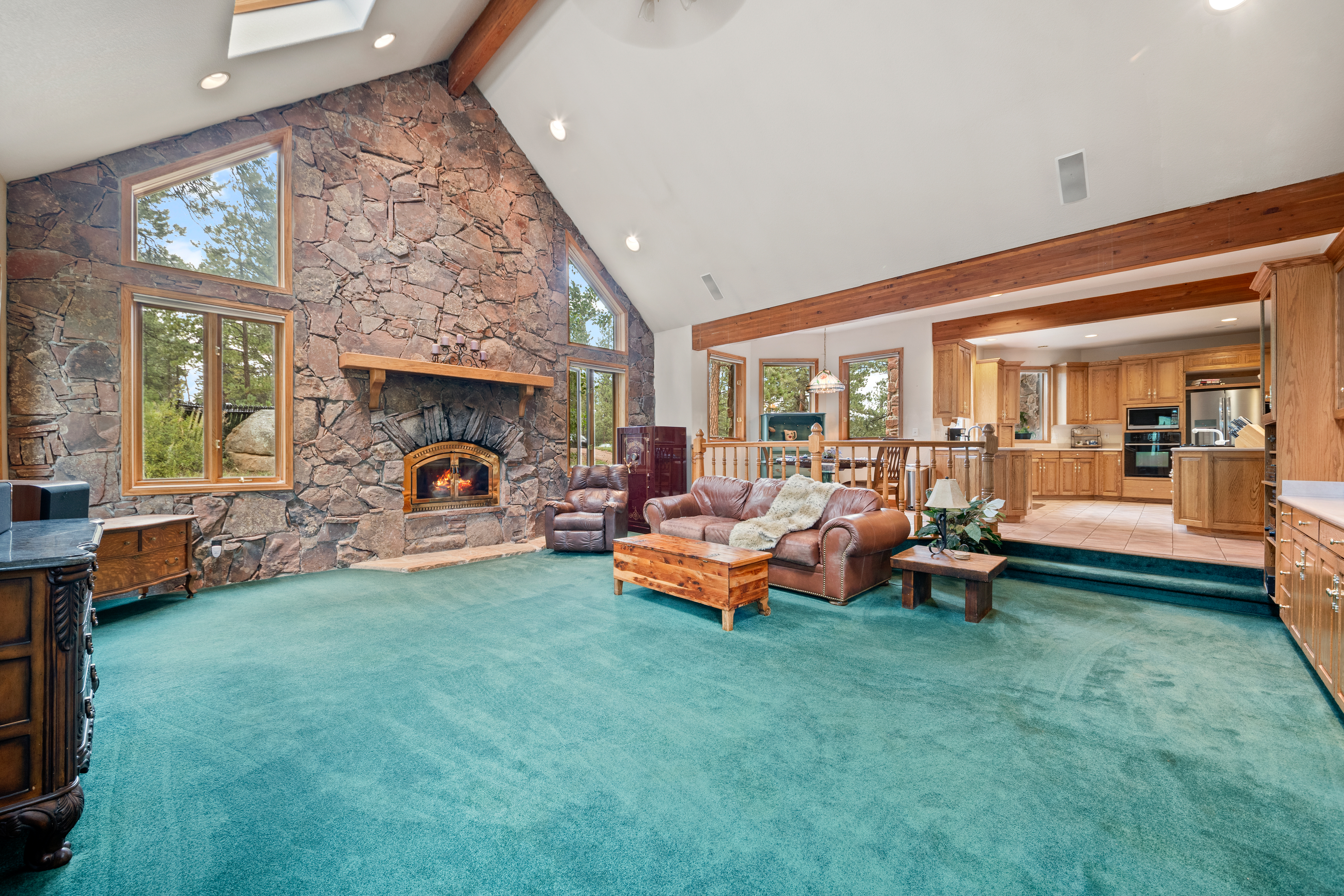  Perfect Blend of Space and Colorado Living That Backs to Pike National Forest - 物件實景