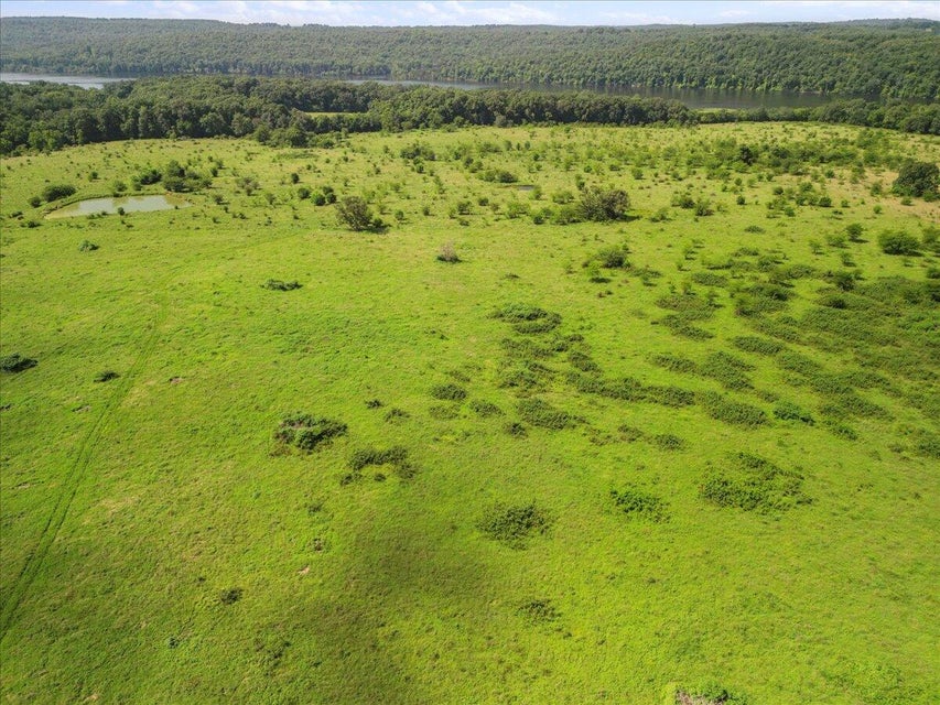 Udall, Missouri, 65766, United States, ,Land,For Sale,1984172