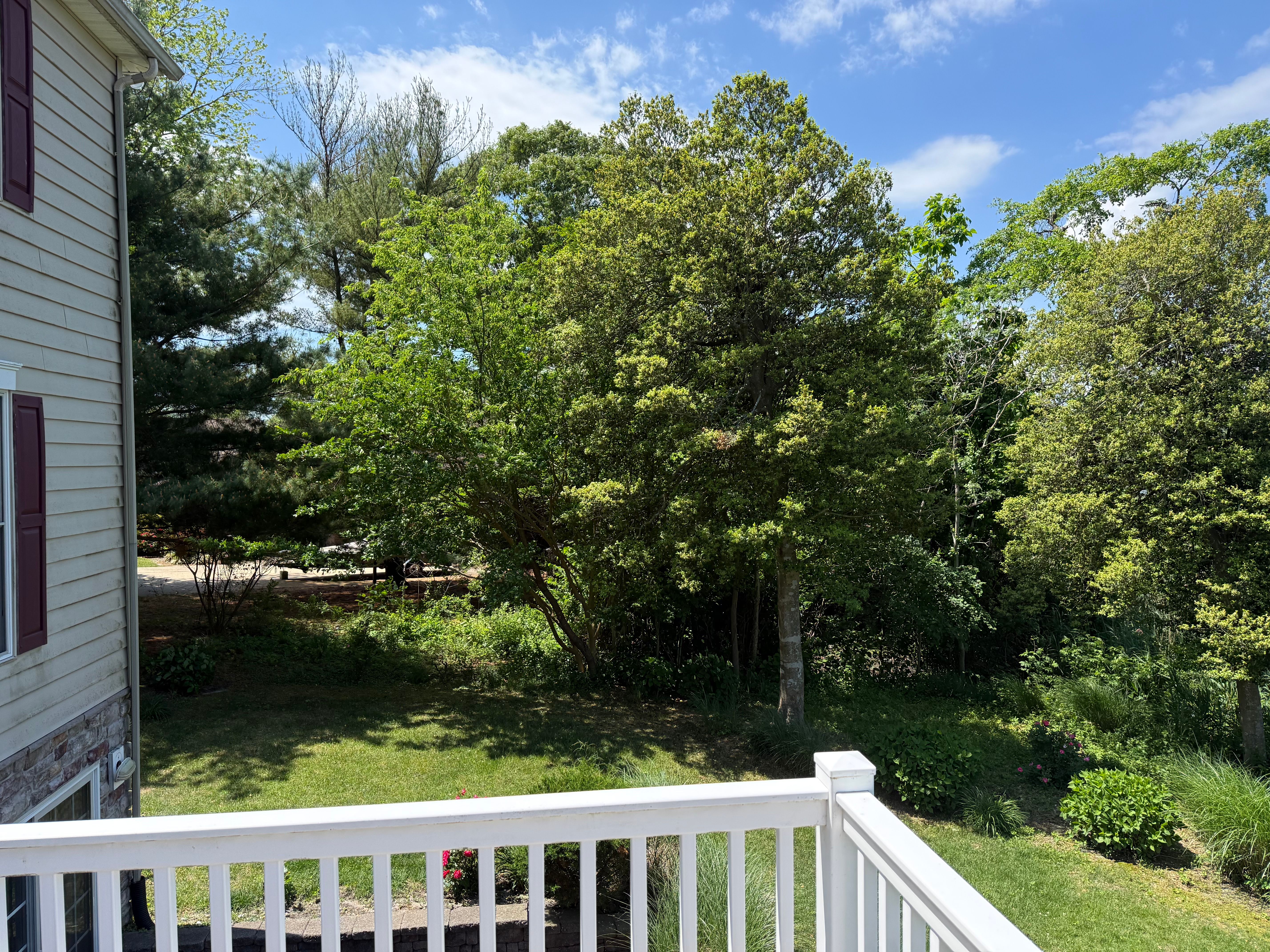  1 Barr, Linwood, NJ, 08221 - 物件實景