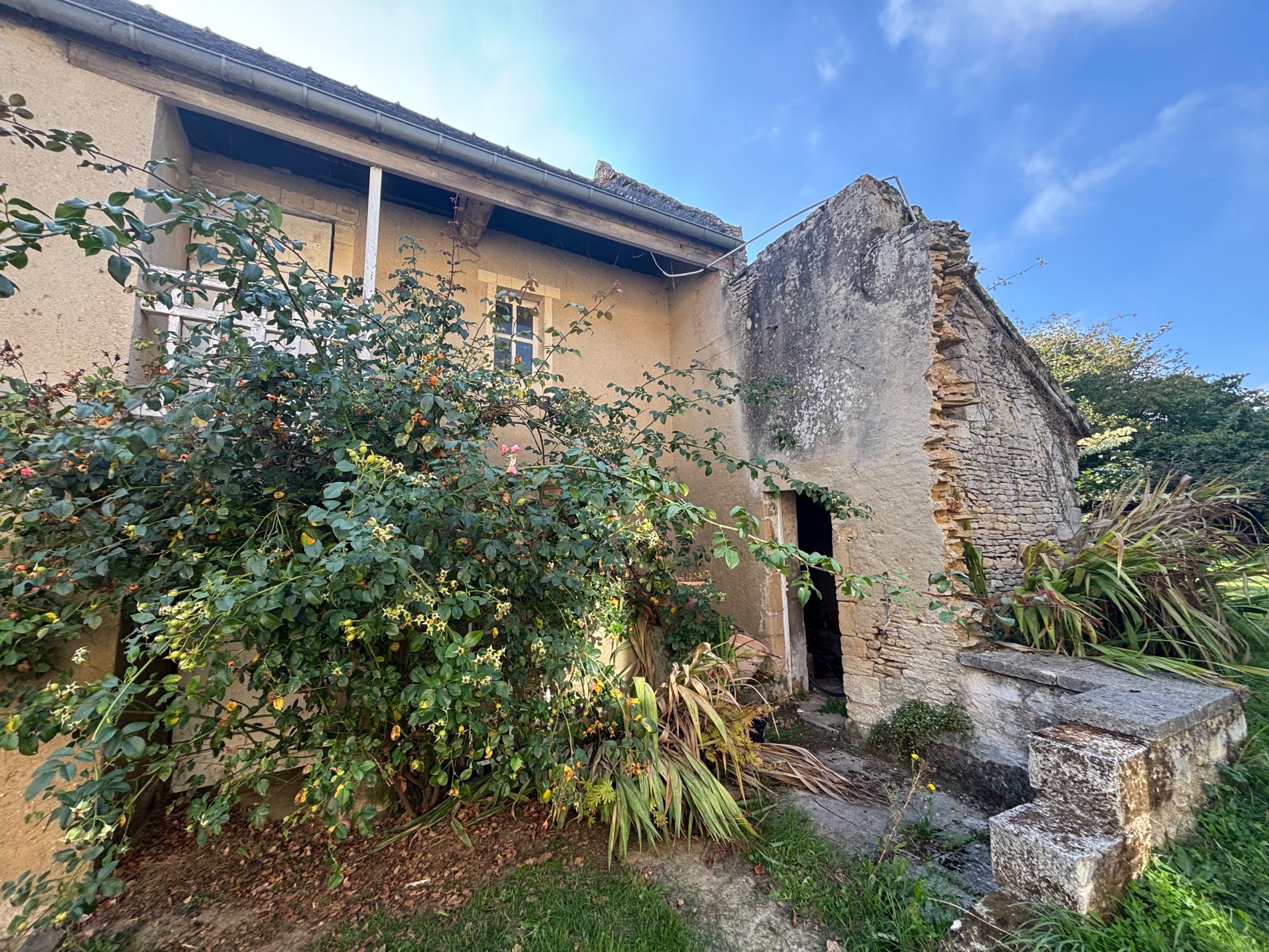  Maison - 物件實景