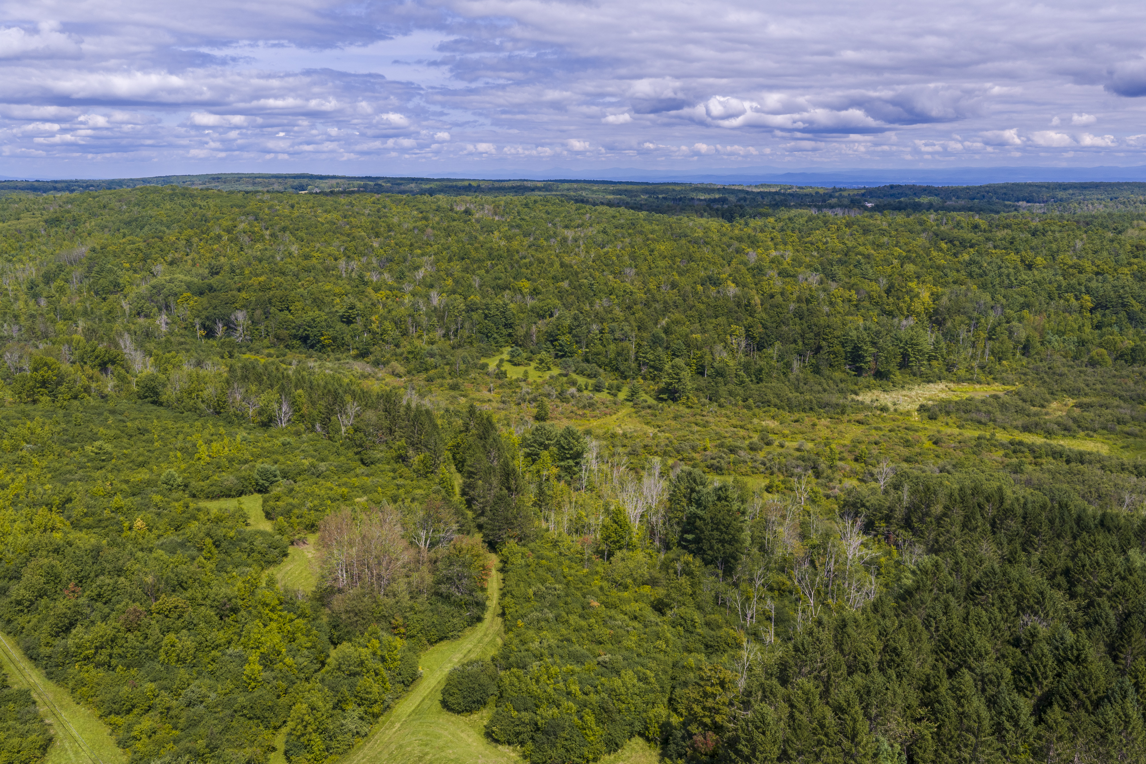  351 Warners Lake Road, East Berne, NY 12059 - 物件實景