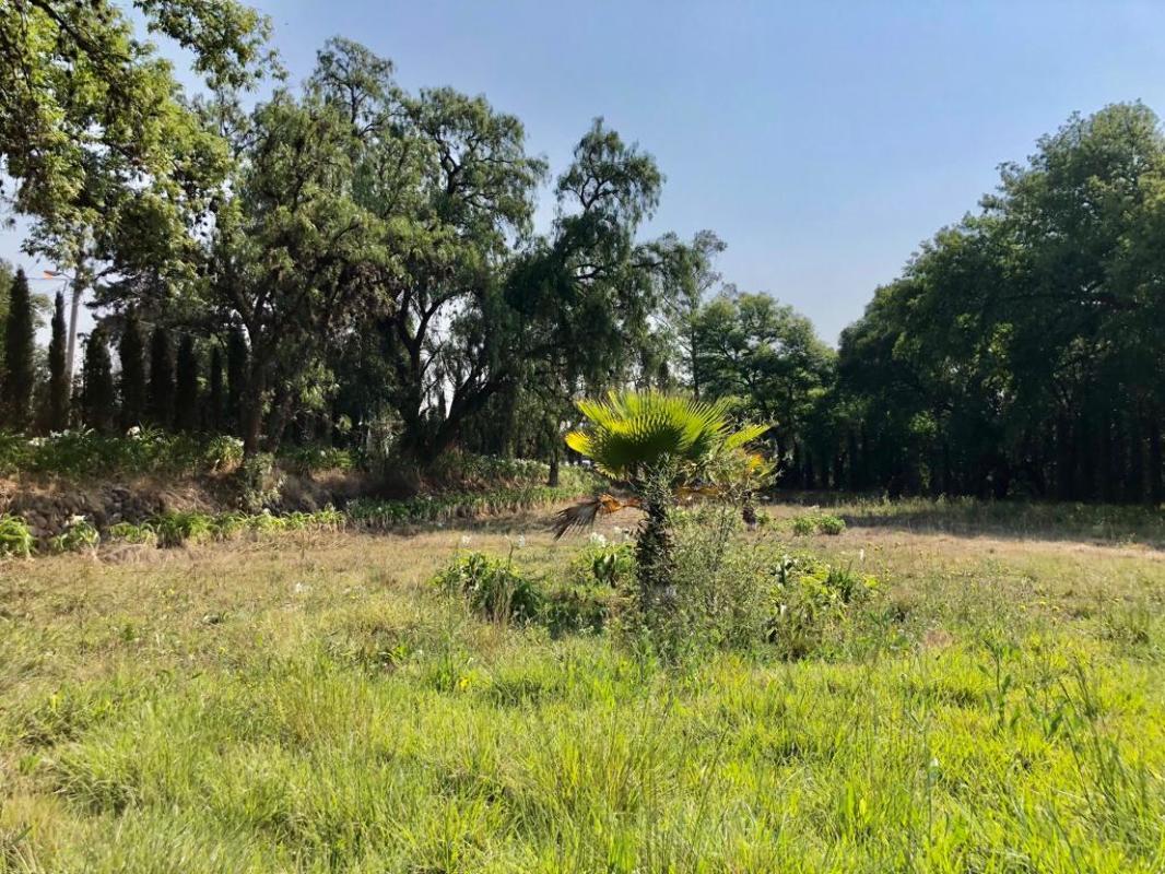 Paseo de las Bugambilias, Tepotzotlán, Estado de México, 54604, Mexico, 1 Bedroom Bedrooms, ,Residential,For Sale,Paseo de las Bugambilias,1624977