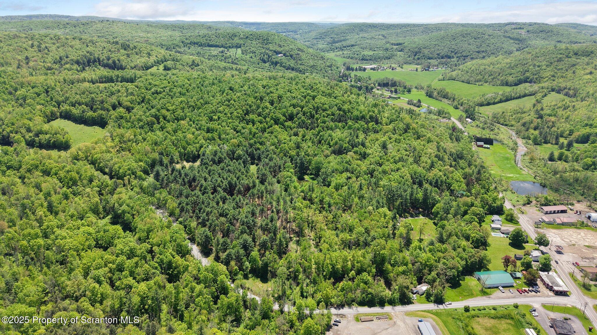 Friendsville, Pennsylvania, 18818, United States, ,Land,For Sale,1821142