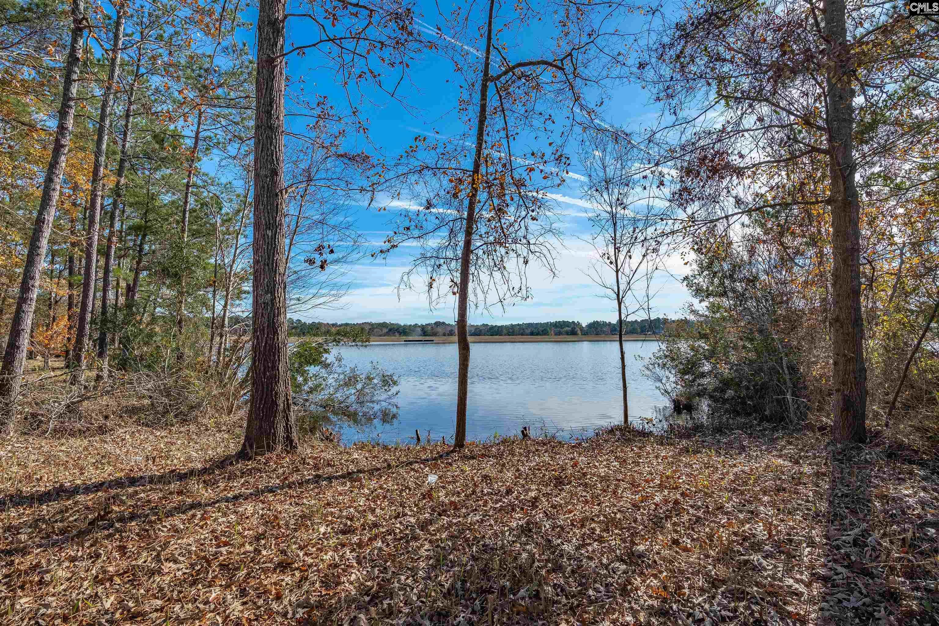 777 Harbor Vista Drive, Columbia, South Carolina, 29229, United States, 7 Bedrooms Bedrooms, ,6 BathroomsBathrooms,Residential,For Sale,777 Harbor Vista Drive,1676659