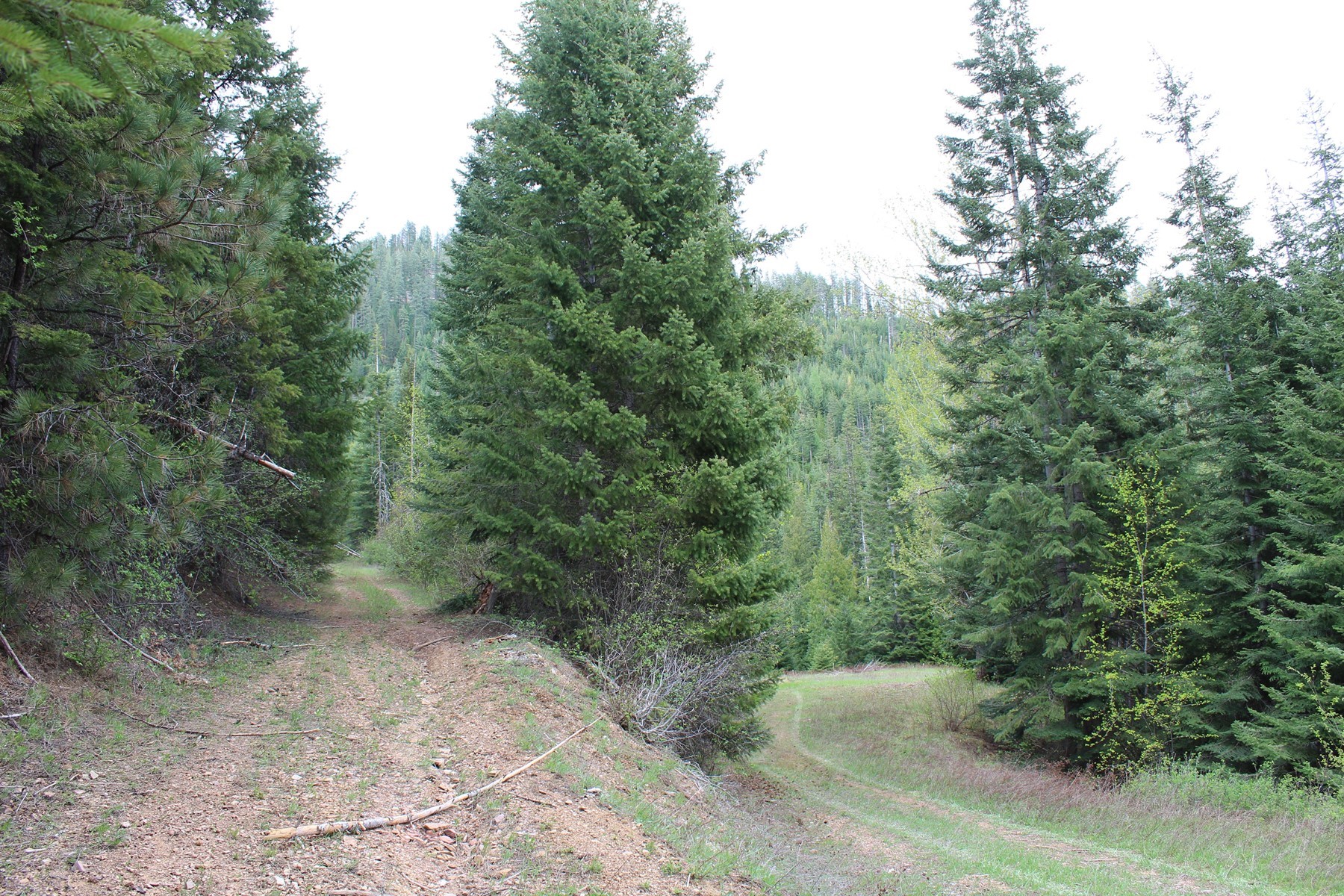  19a Daisy Gulch Road - 物件實景