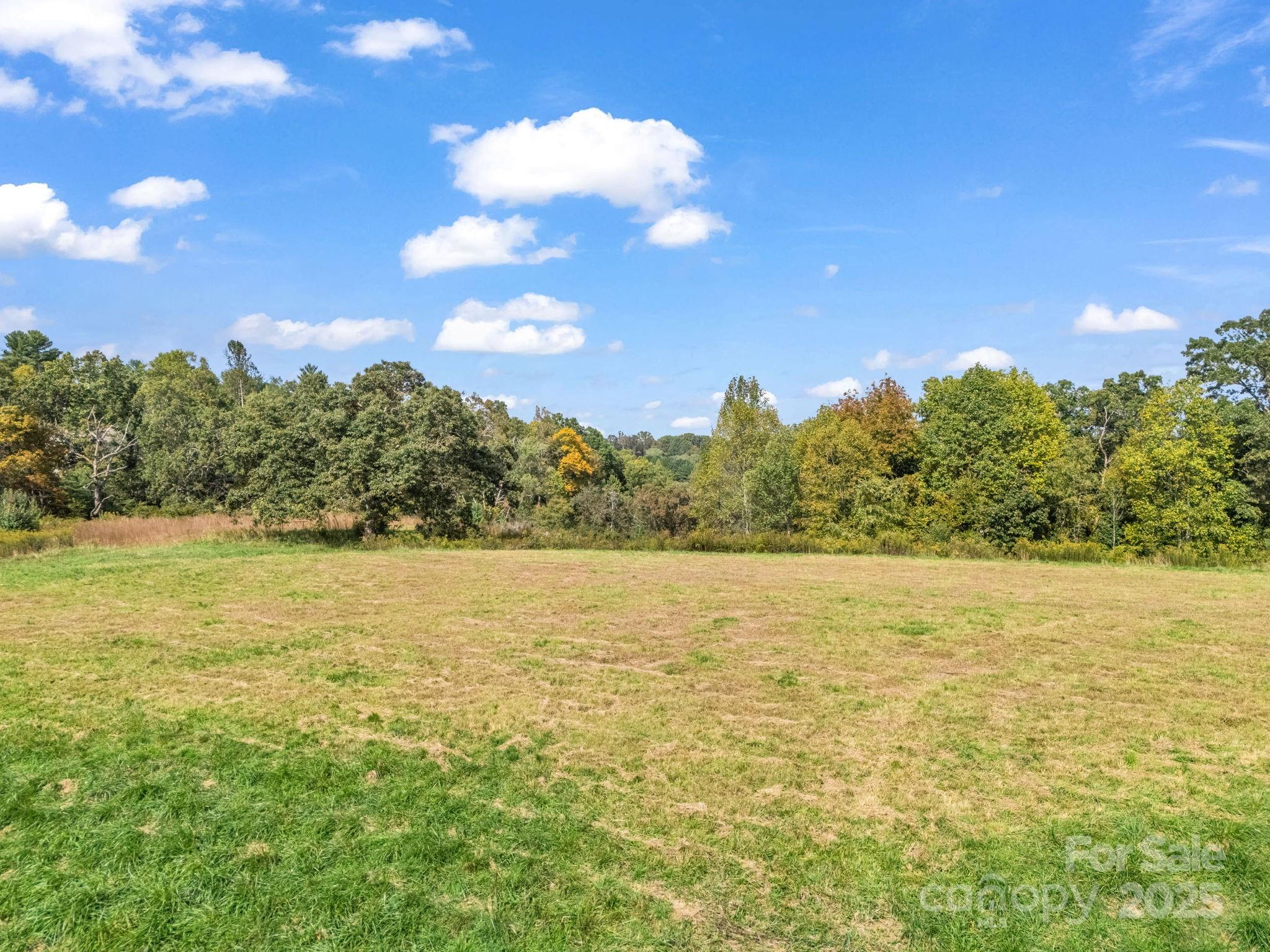 Mills River, North Carolina, 28759, United States, ,Land,For Sale,1975215