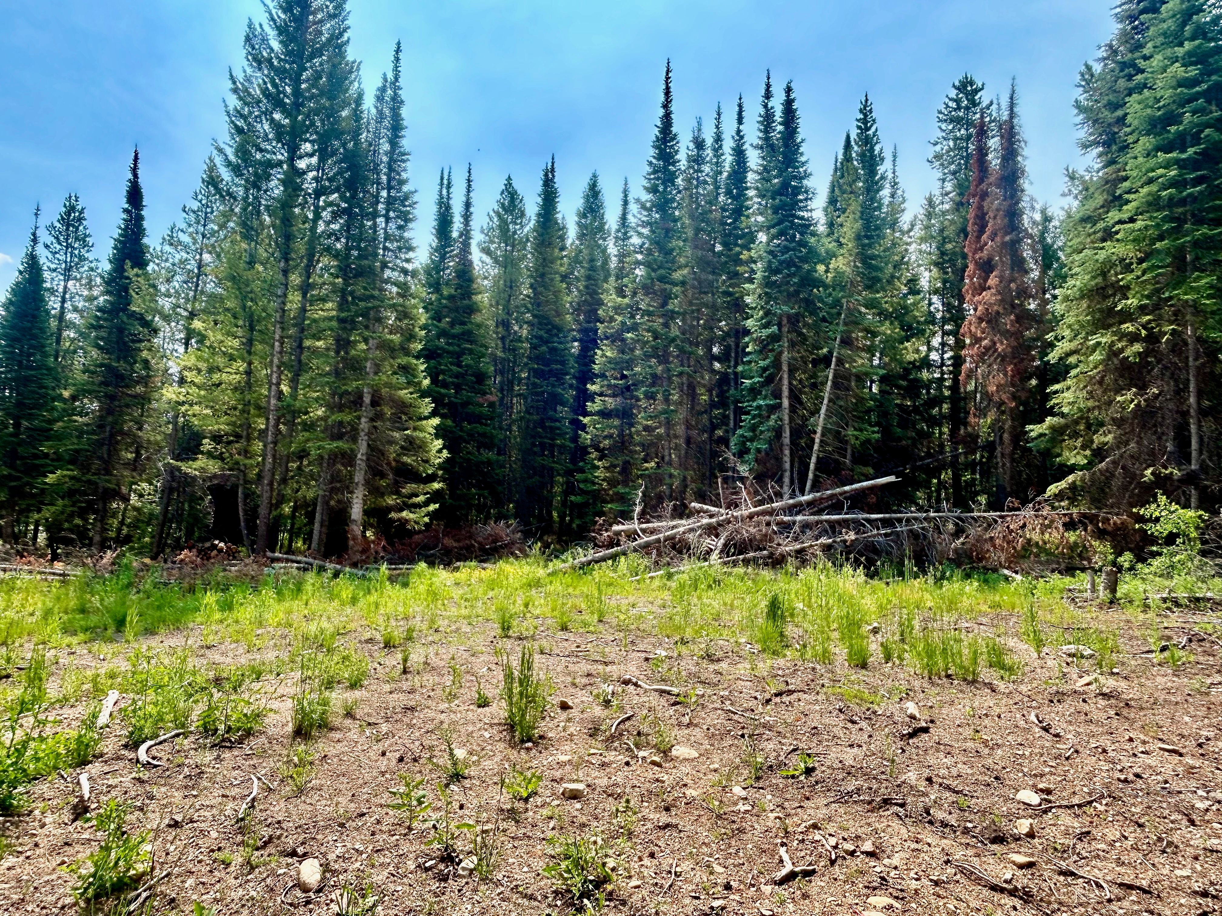  Lot 38 Colt Trail, Oak Creek, CO, 80467 - 物件實景
