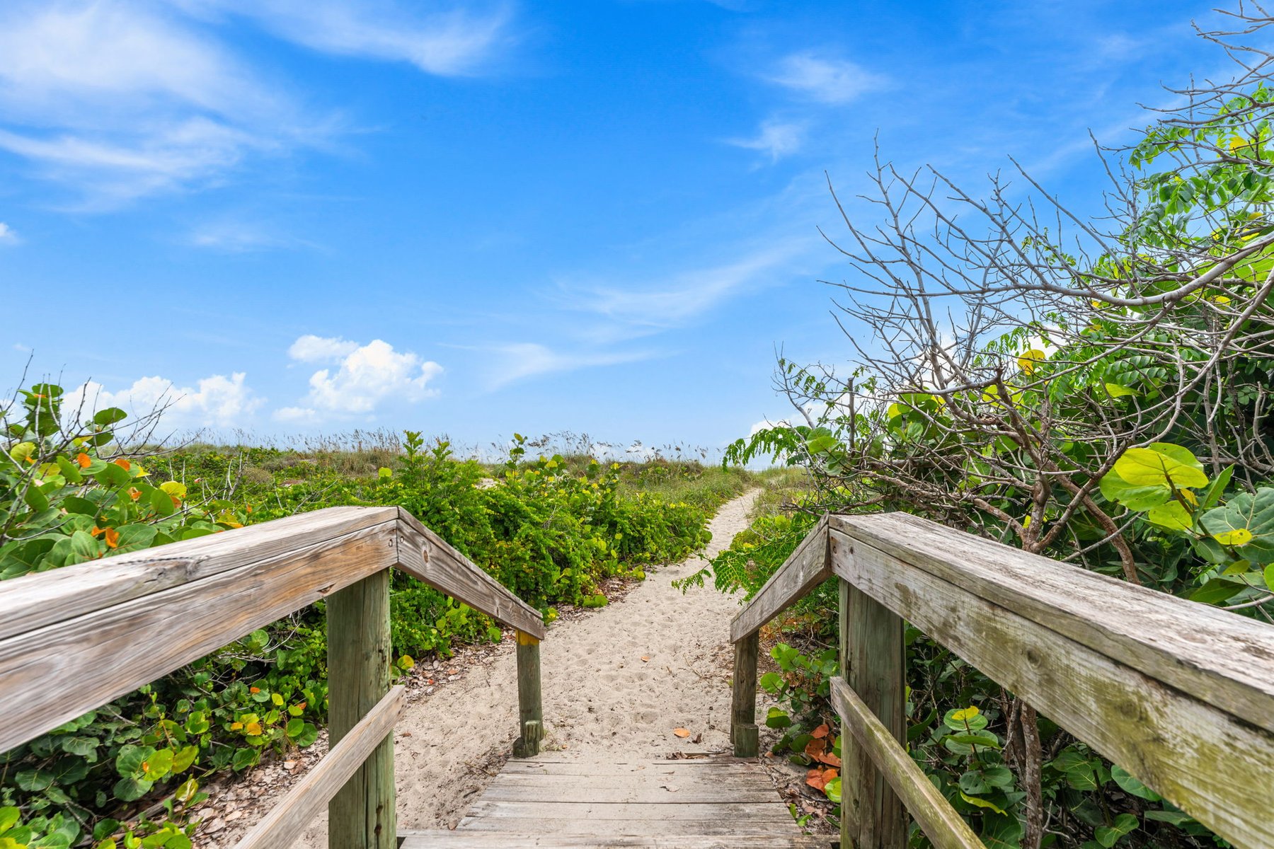  2001 Julep Drive, Unit# 206, Cocoa Beach, FL, 32931 - 物件實景
