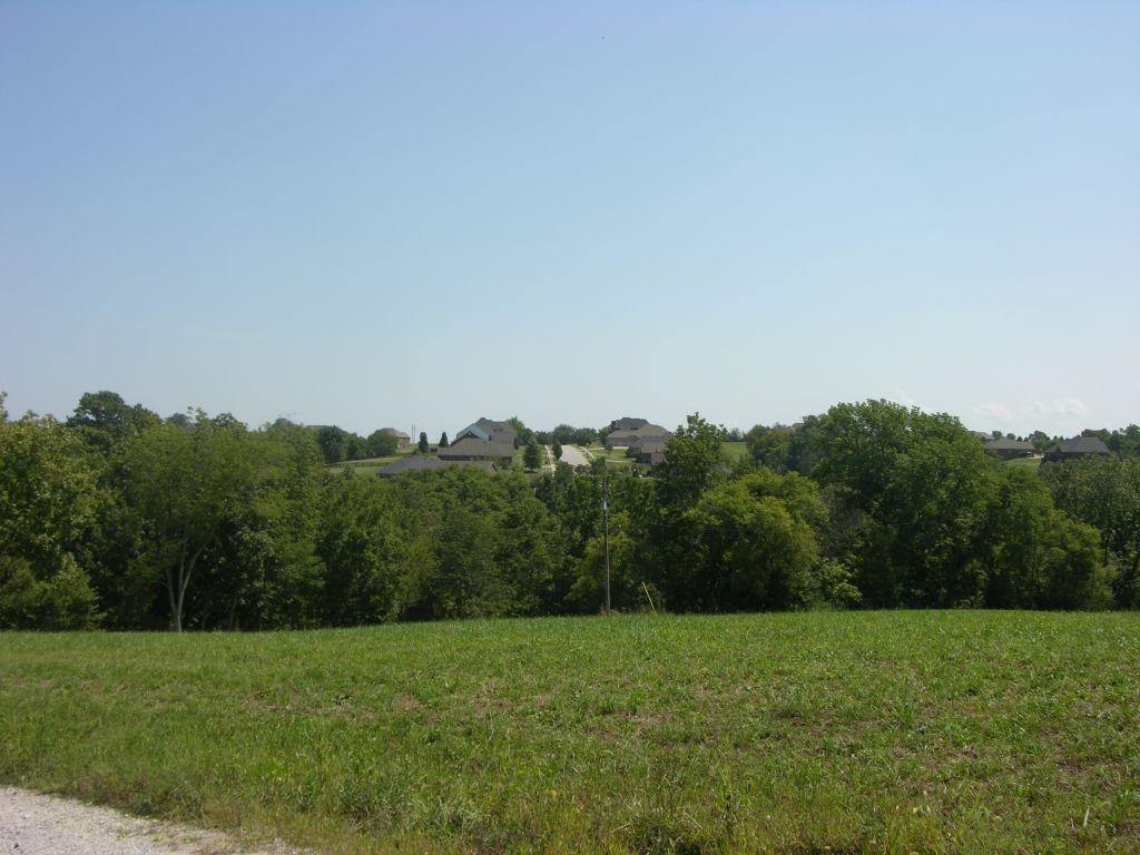 1400 Curtis Pike, Richmond, Kentucky, 40475, United States, ,Land,For Sale,1400 Curtis Pike,1616978