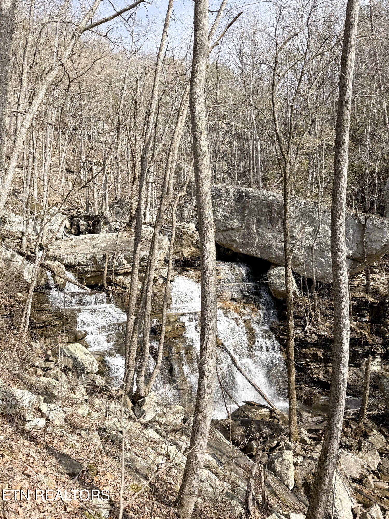 Pikeville, Tennessee, 37367, United States, ,Land,For Sale,1975616