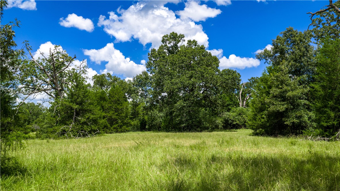 Midway, Texas, 75852, United States, 1 Bedroom Bedrooms, ,1 BathroomBathrooms,Residential,For Sale,1957289