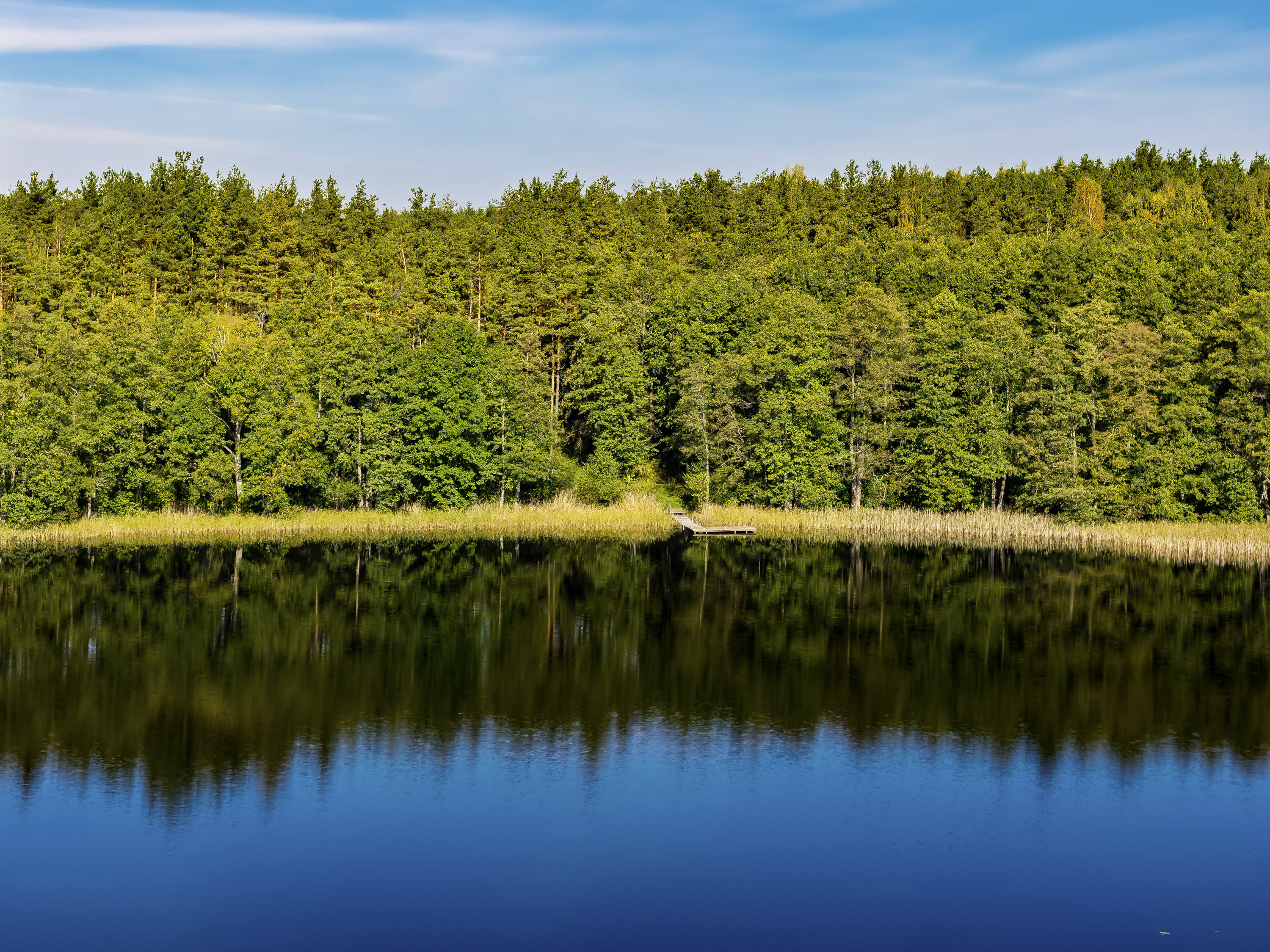  Your place by the lake, surrounded by forest - 物件實景