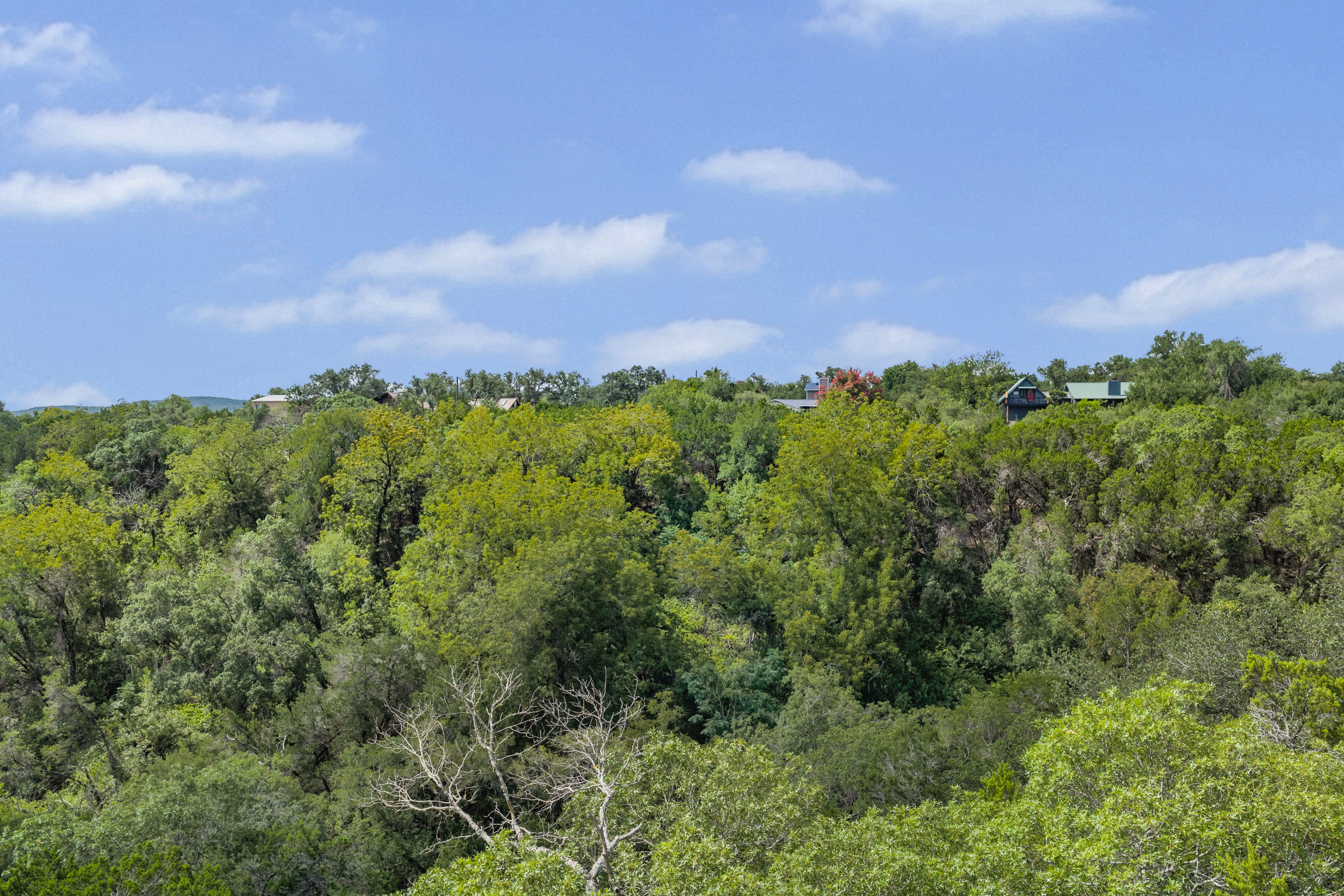  1.5 Acre Lot with Canyon Views in Lakeway - 物件實景